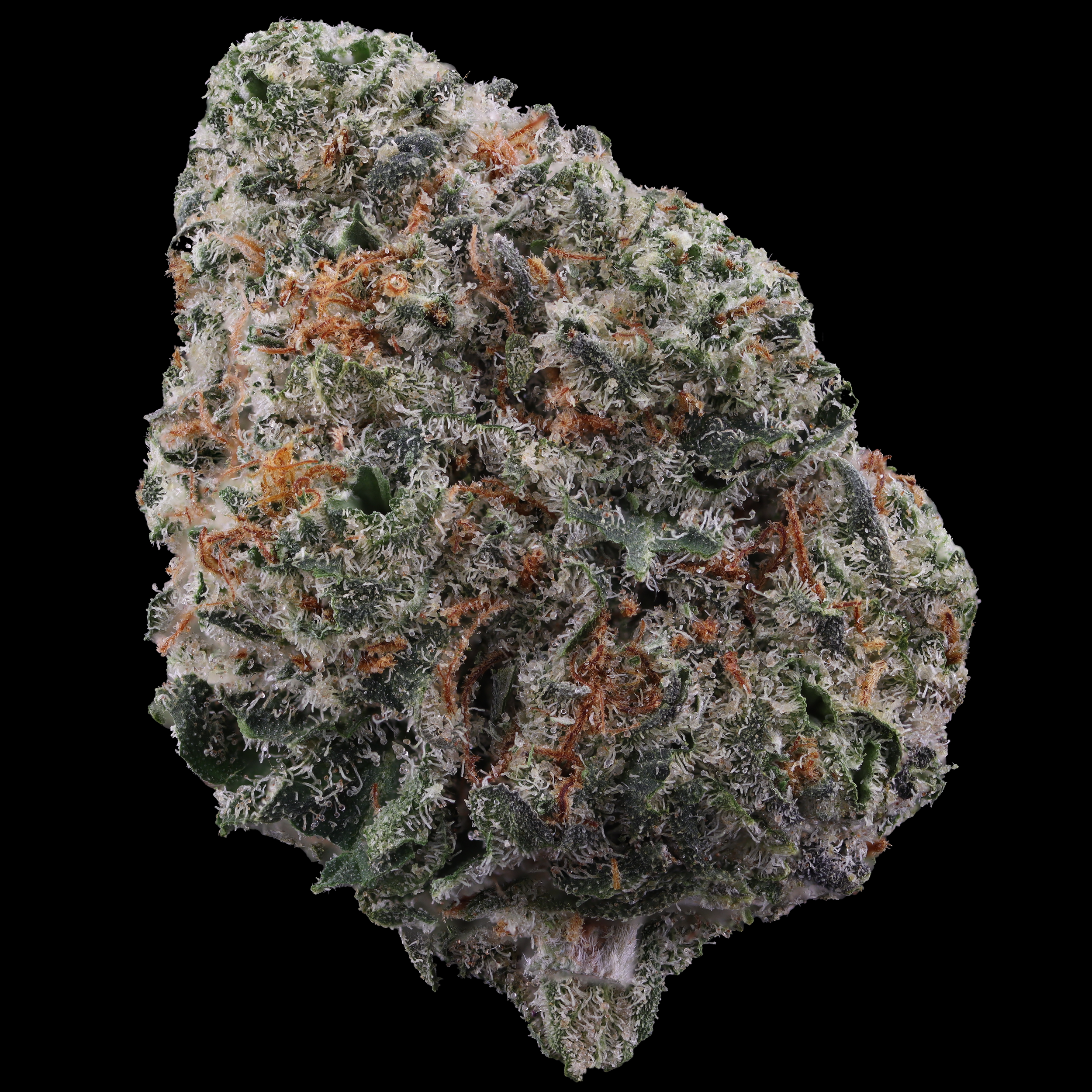 Cereal Milk by Good Green