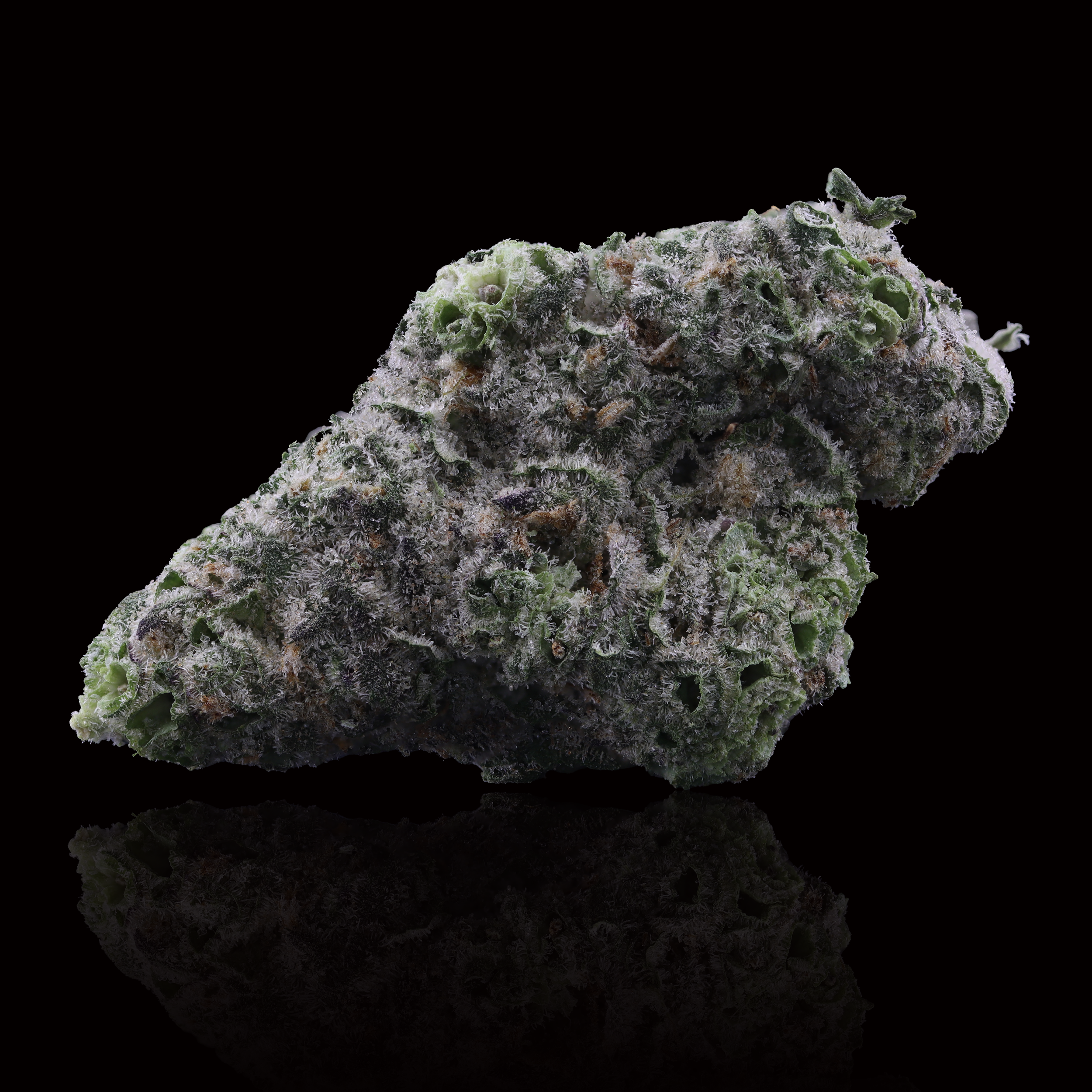 Gush-mints-strain-by-curio-wellness-reflection