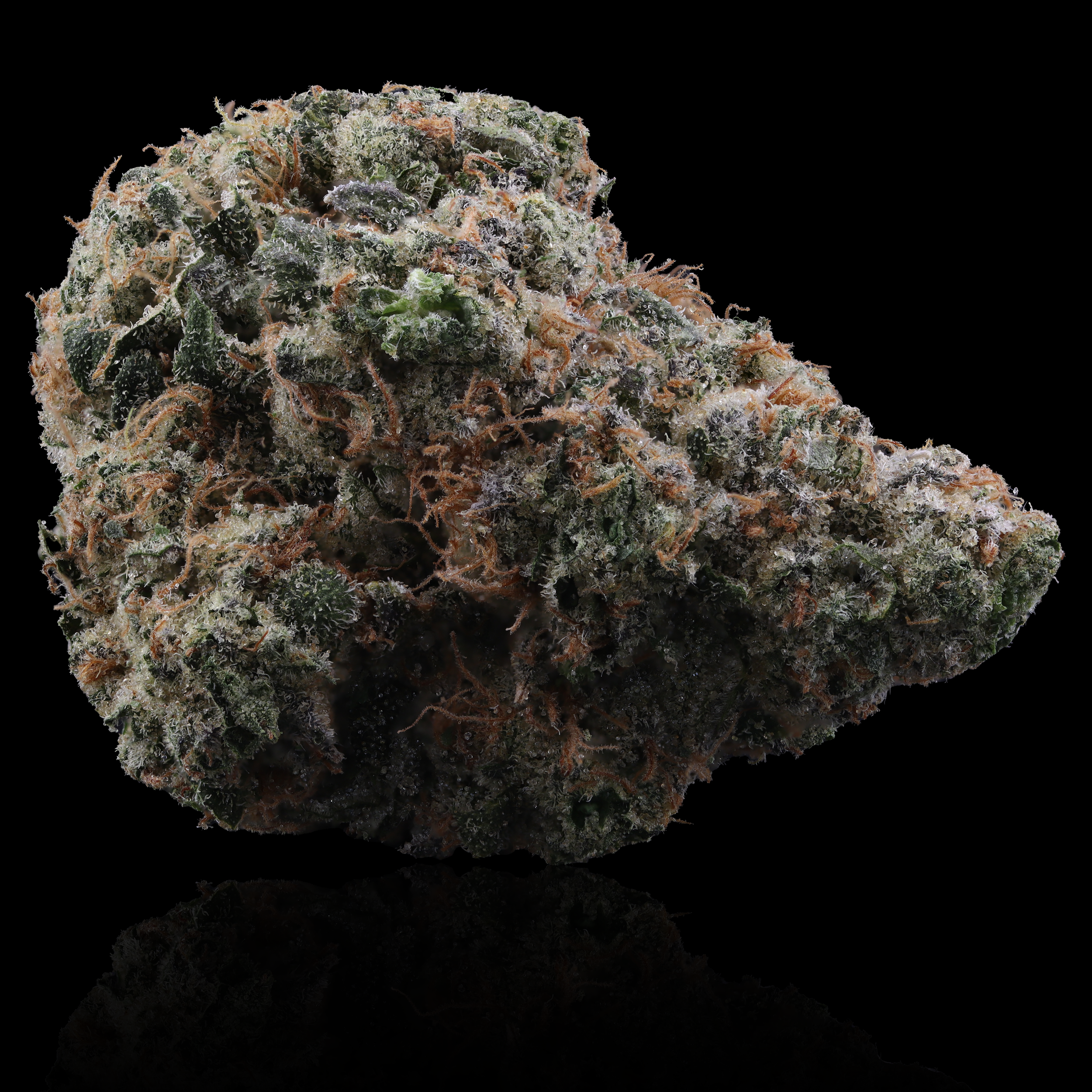 Rainbow push pop #4 strain by evermore