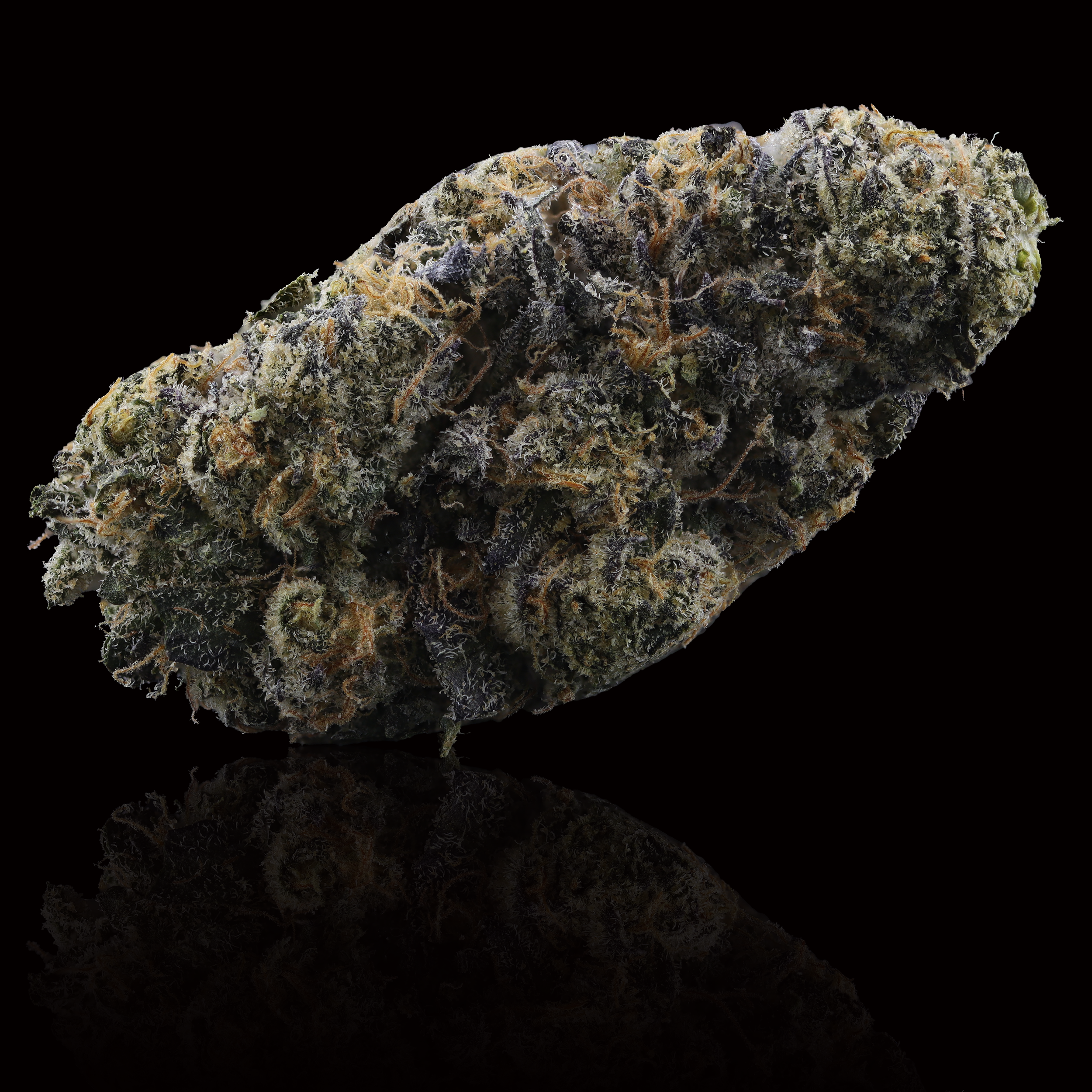 emergen-c-flower-with-reflection-by-just-flower