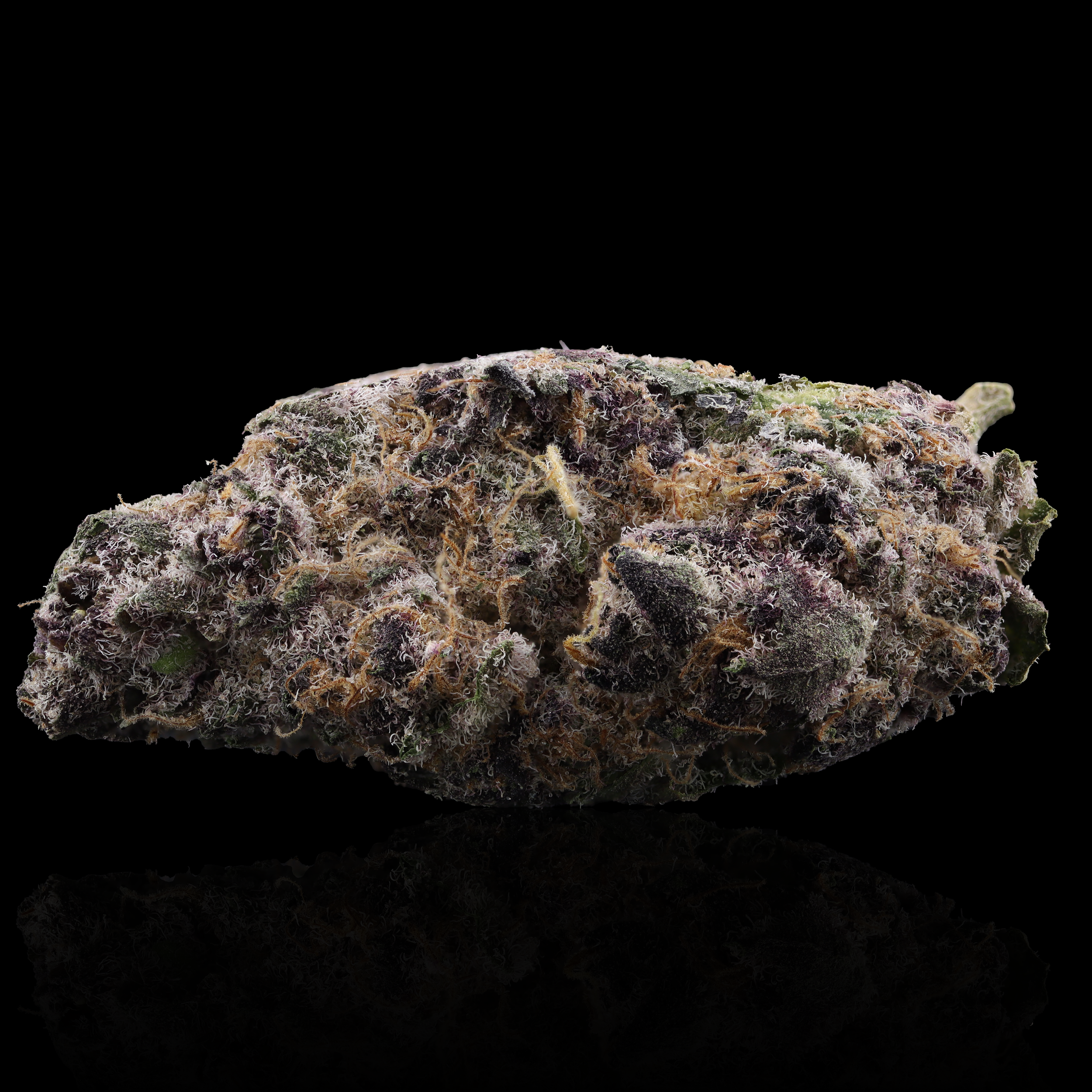 Unicorn-Milk-strain-by-prolific-grow-house-reflection