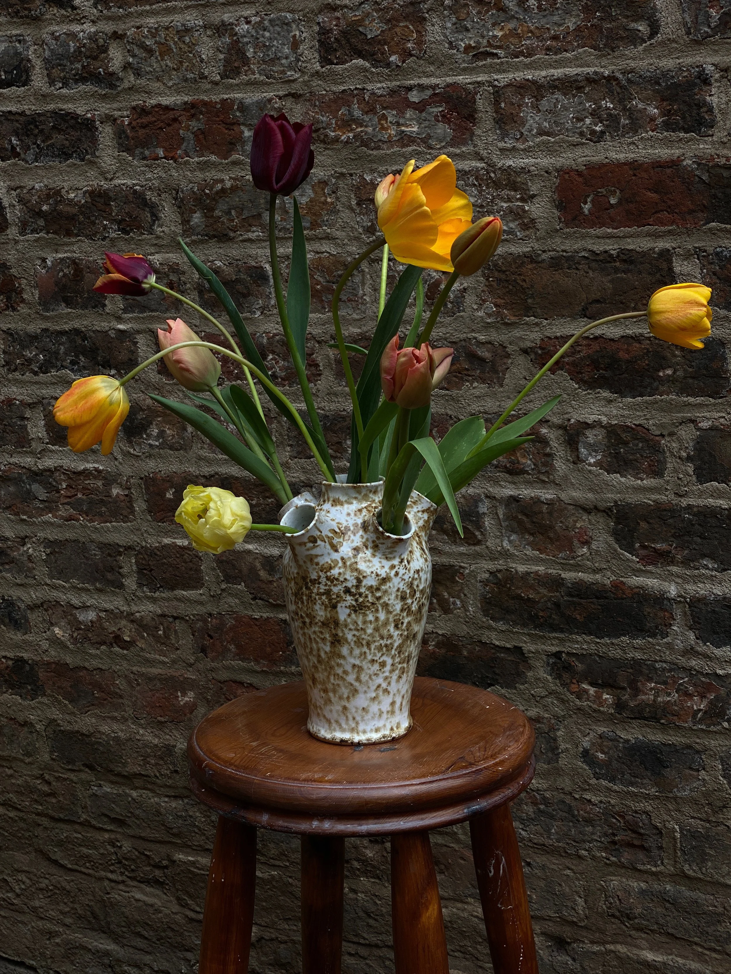 Tulipiere
