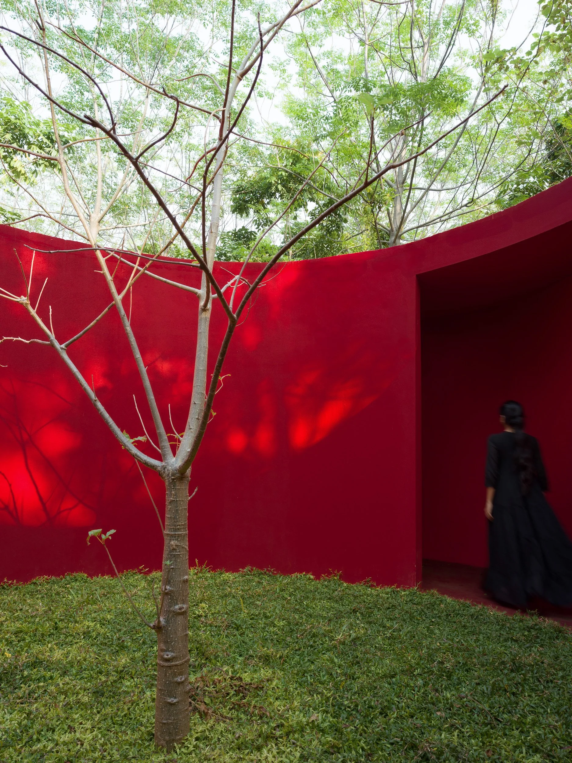 sanctum of trees-182 design-4.jpg
