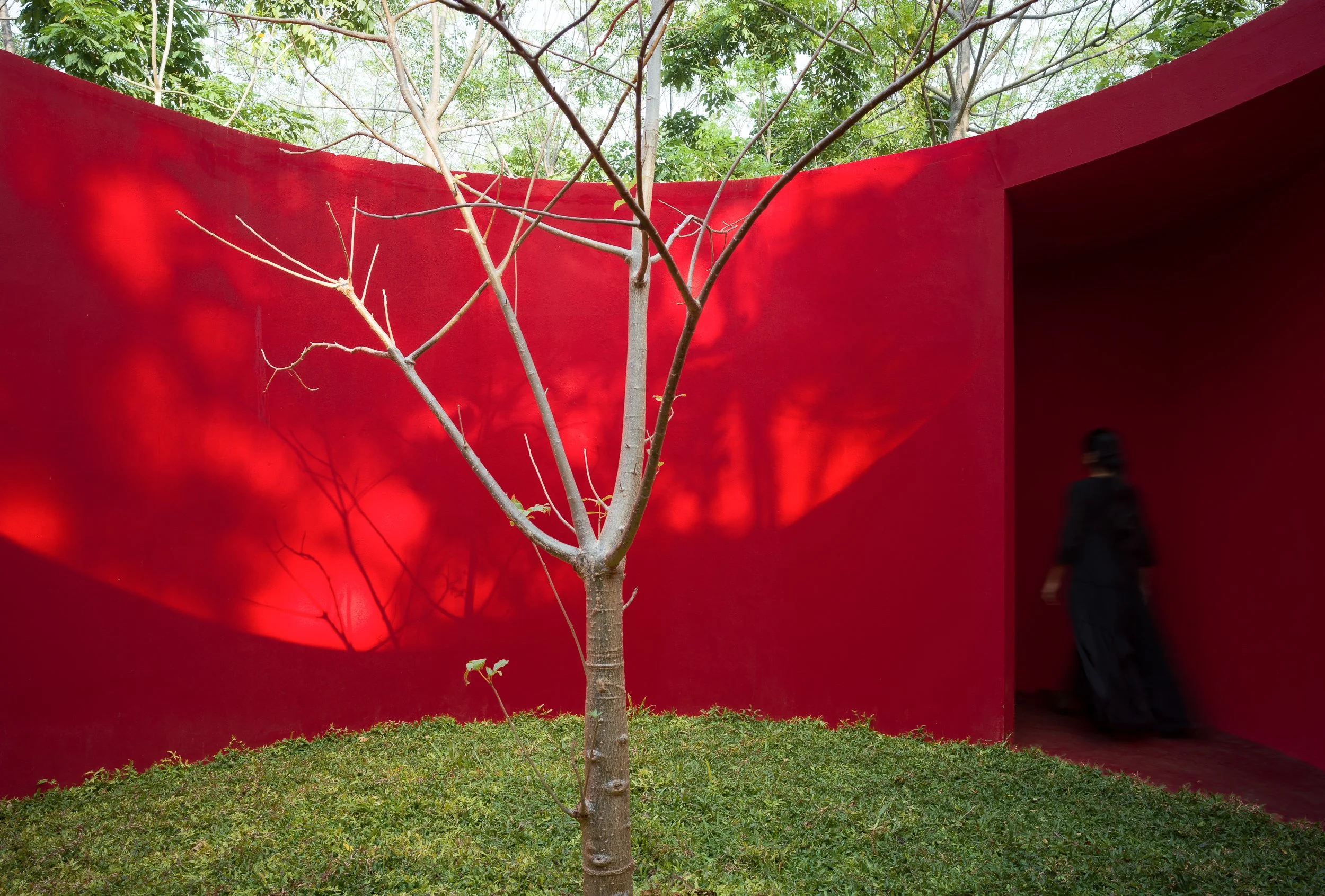 sanctumoftrees-182design-15.jpg