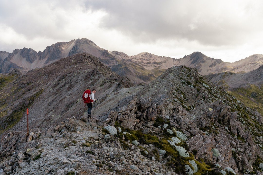 A collection of photos from the Te Araroa. 

Which photo is your fave? 

 I've finally jumped back into turning my journal from this 3000km hike into small snippets that I hope to put into a book one day. 

Writing about my hike is what really launch