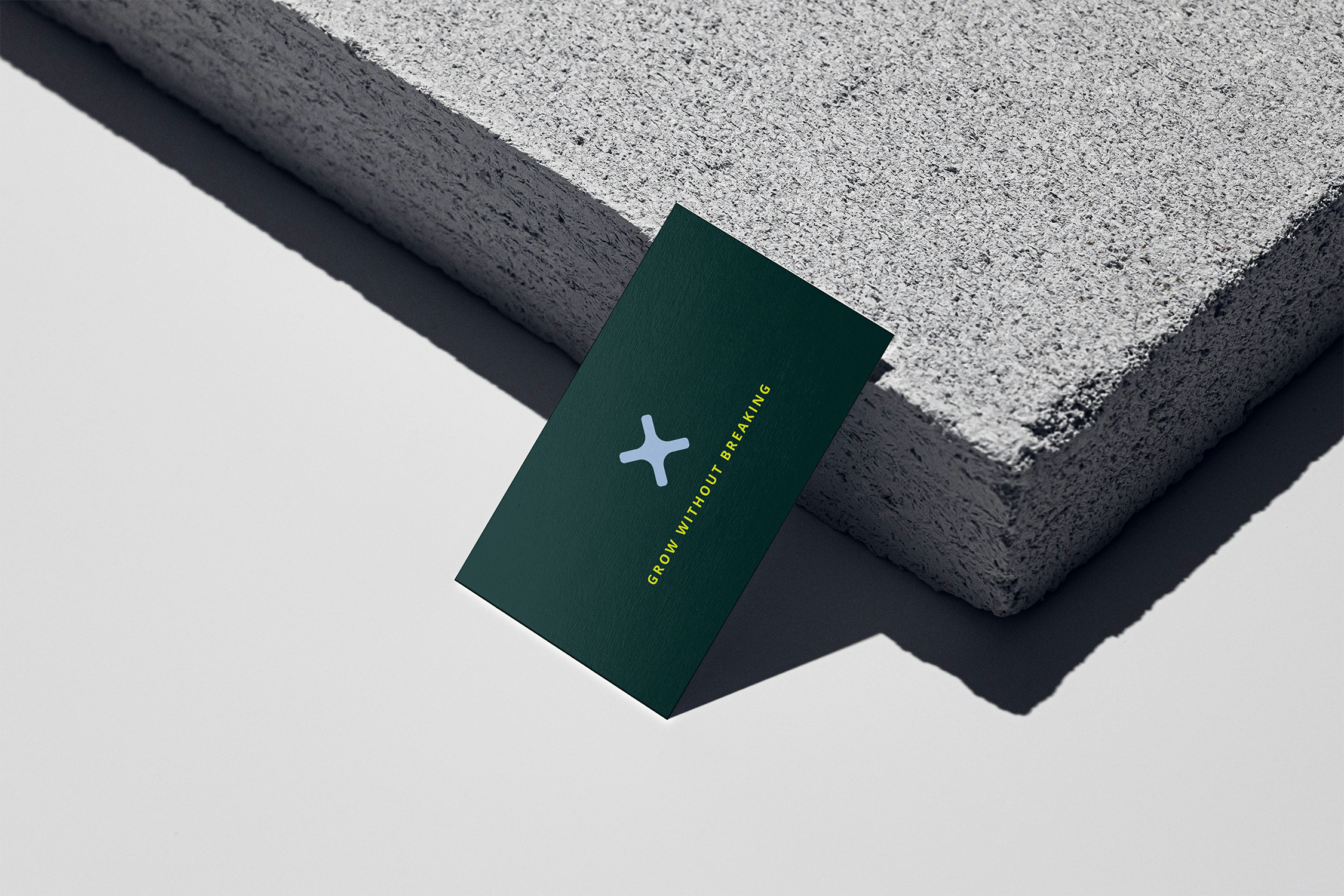 Paradox Business Card mockup.png