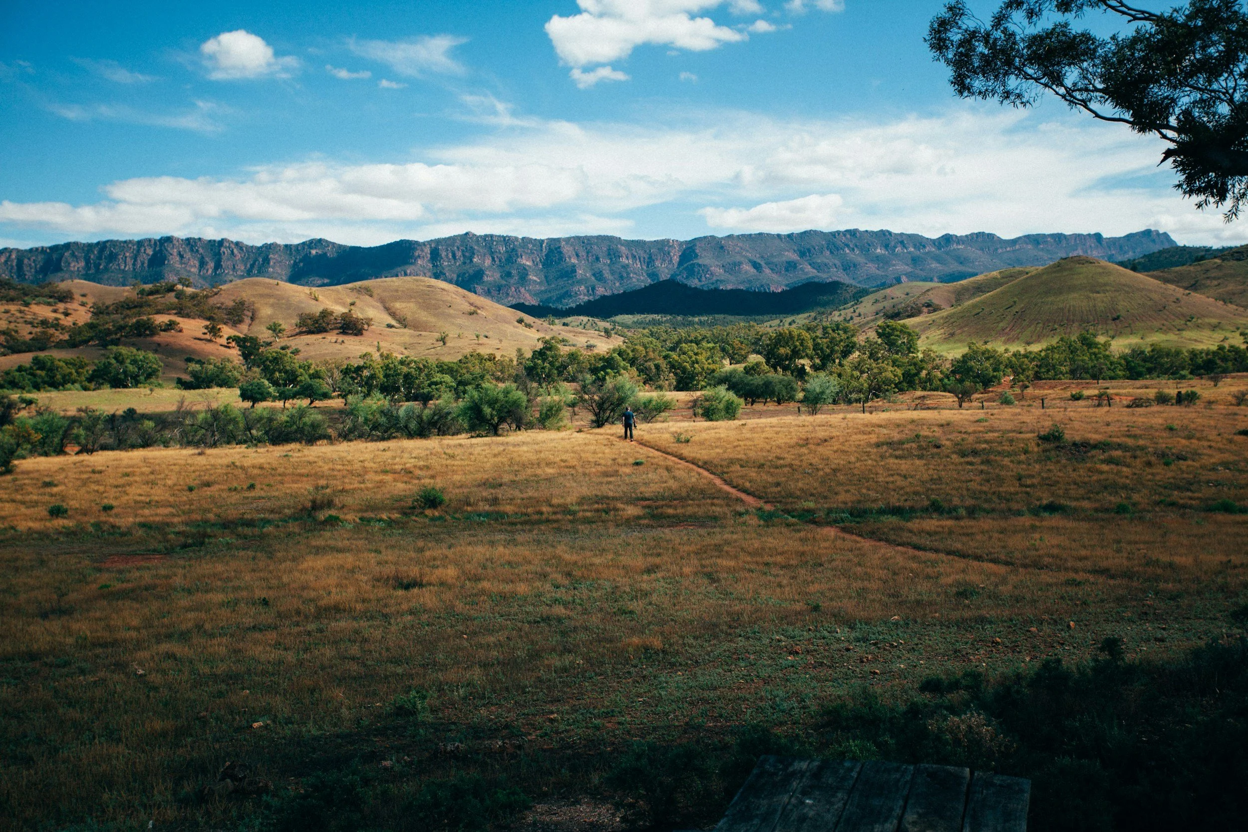Photo of an expansive landscape with a figure walking along a small dirt track