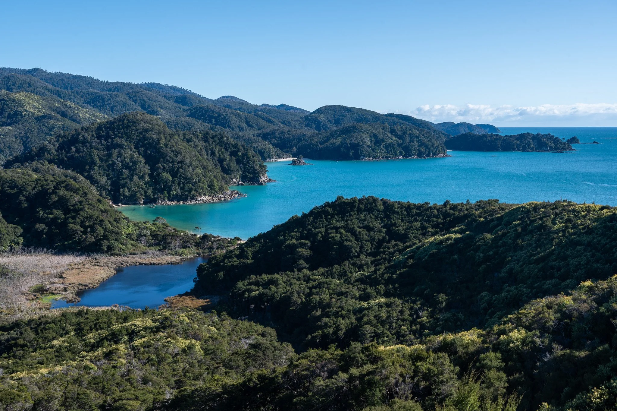 The park's ecosystems are diverse, ranging from coastal dunes and estuaries to lush lowland forests and tidal inlets. 