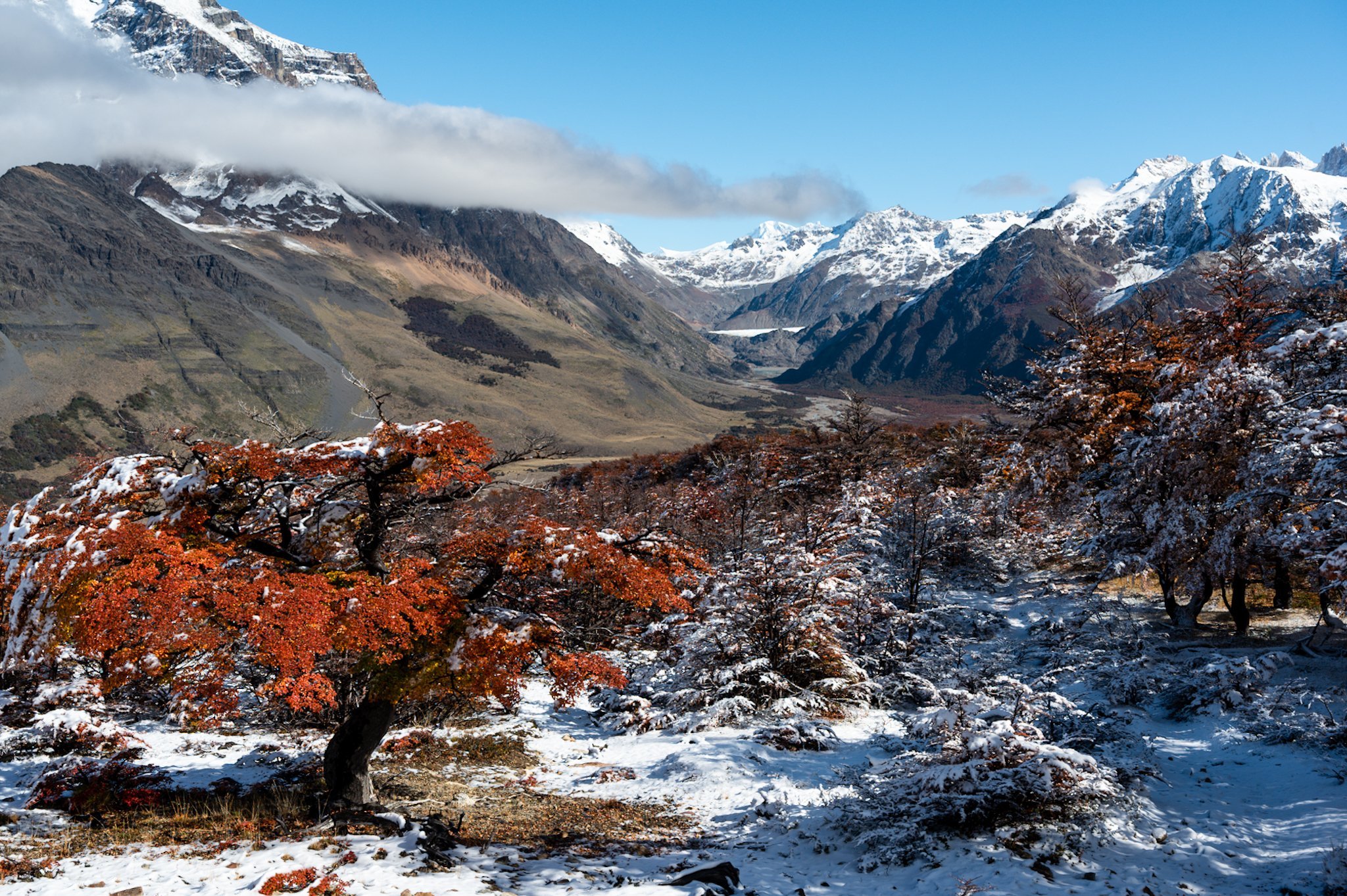 Autumn and winter have arrived together. Leaves have transformed into thousands of shades of red and orange, while rain has crystallized into snowflakes.