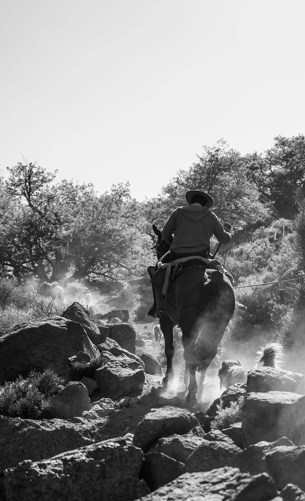 Arrieros, known as Gauchos in Argentina, are men who spend the summer in the mountains, staying in improvised shelters. Their job is to care for and fatten the livestock of various landowners or farmers who employ them.