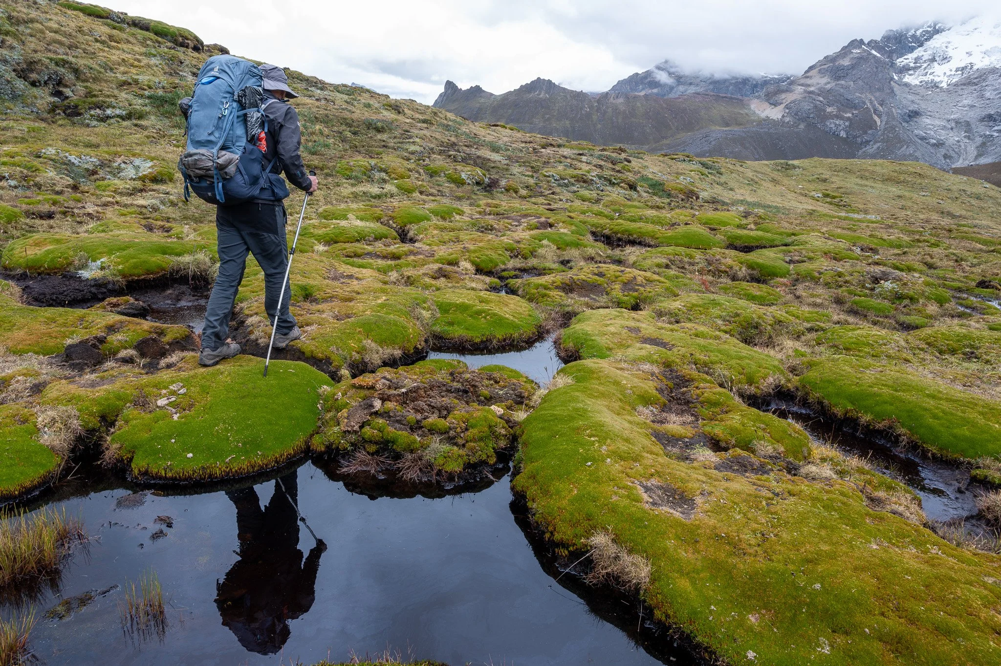 Beneath the Siula Pass, the landscape was dotted with green mounds of yareta. This tiny plant, closely related to carrots, forms vast colonies to conserve heat and water at high elevations. Growing at a rate of just 1.5 cm² per year, some yareta colo