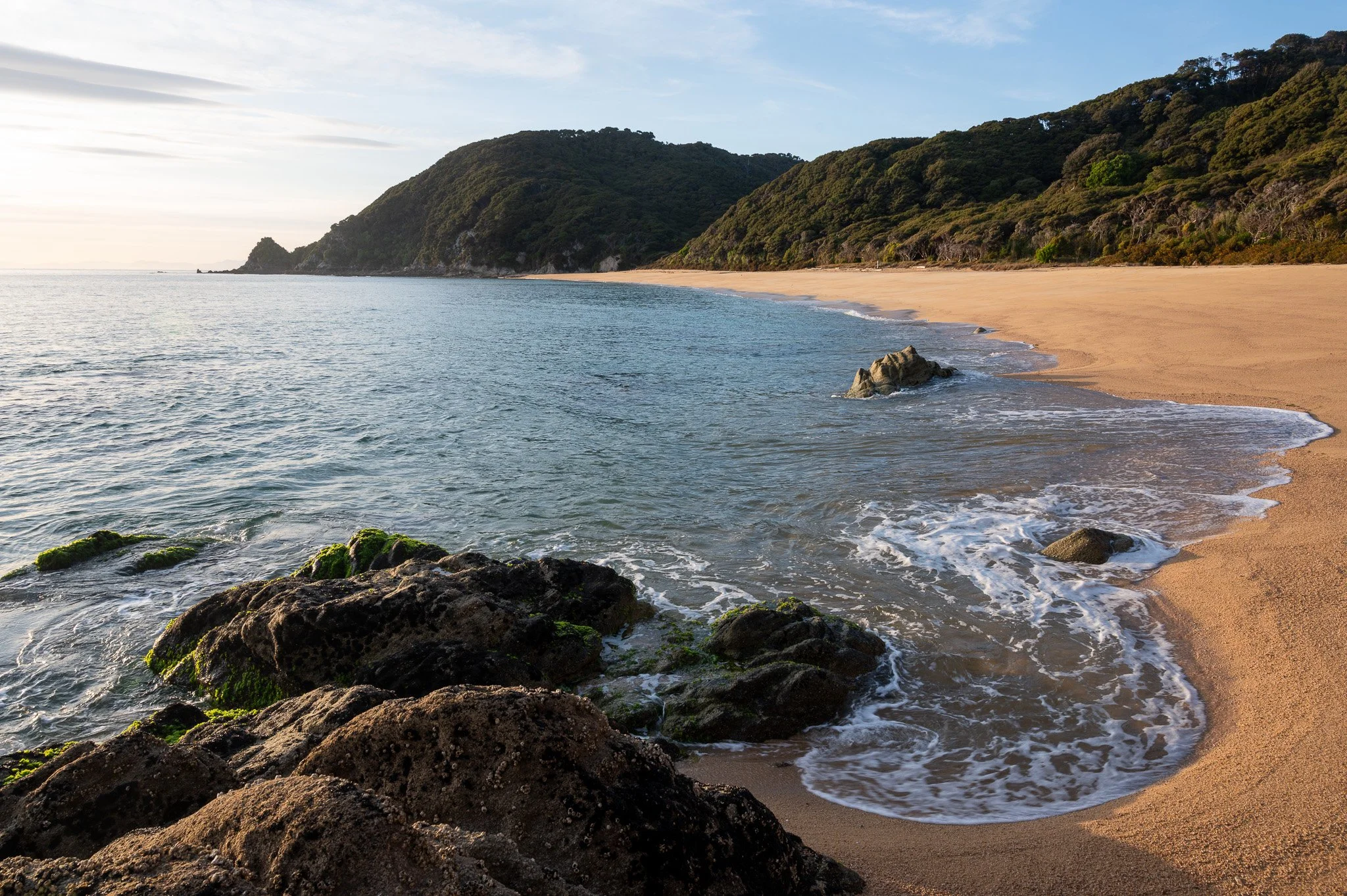 The park is full of beautiful golden bays, with campgrounds located under the forest canopy, right next to the beach. There are also numerous huts for those that prefer to hike without much equipment. 