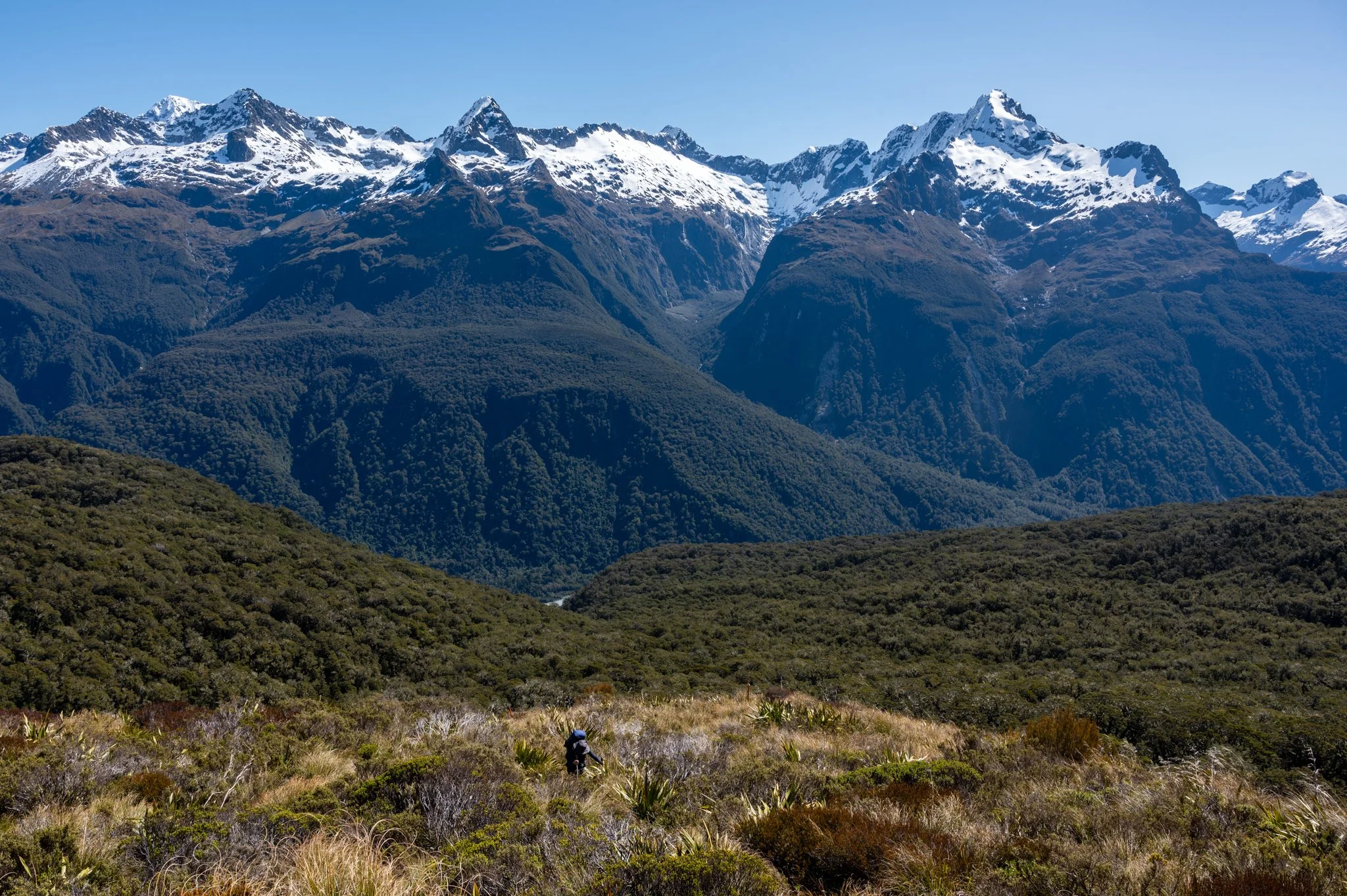 Coming up from the Deadmans Pass to join the official Routeburn Track.
