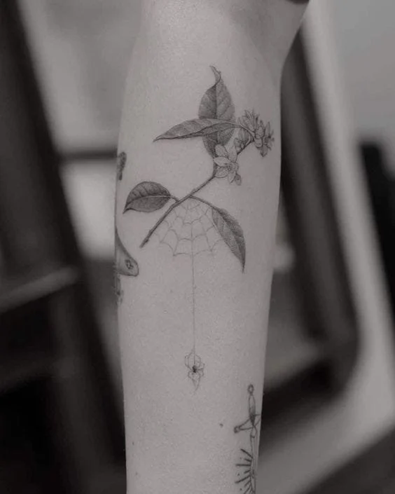 tat 1.jpeg
