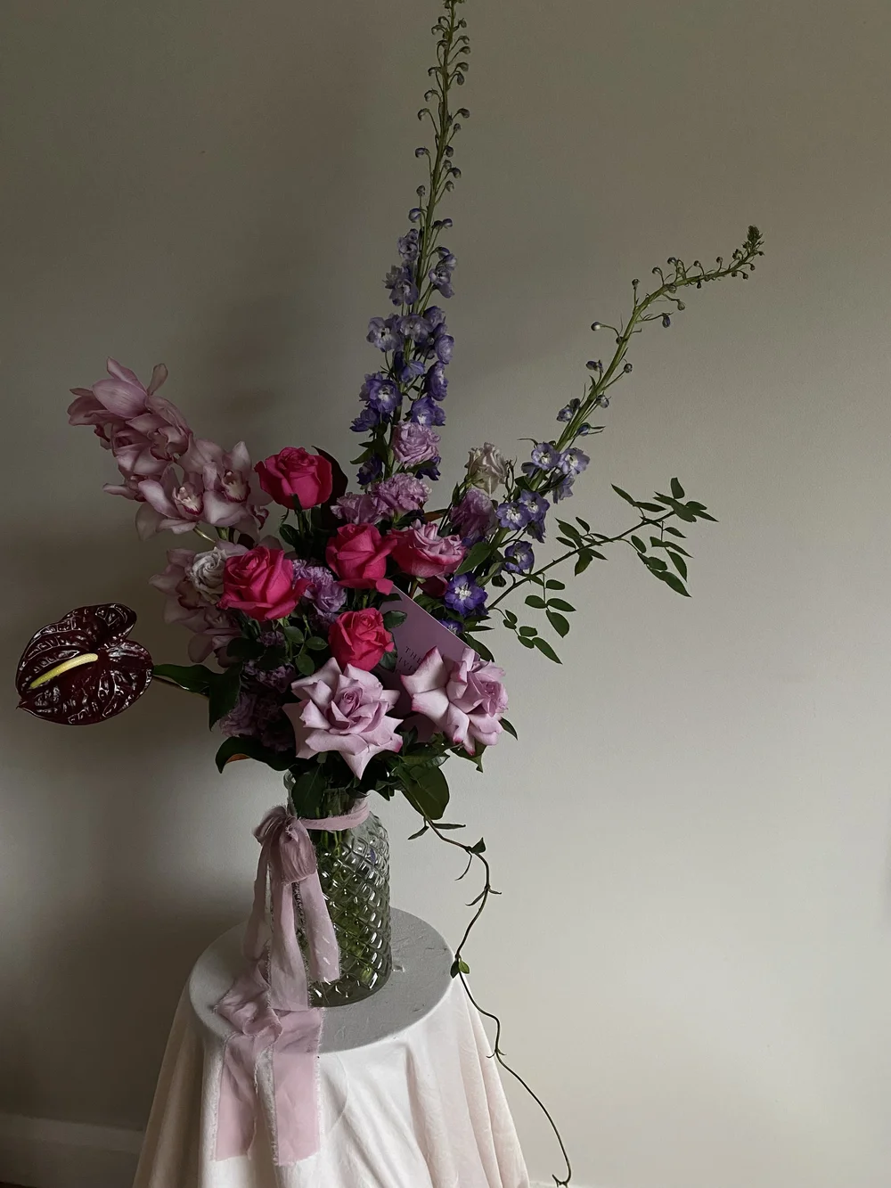 IMG_5526.jpeg