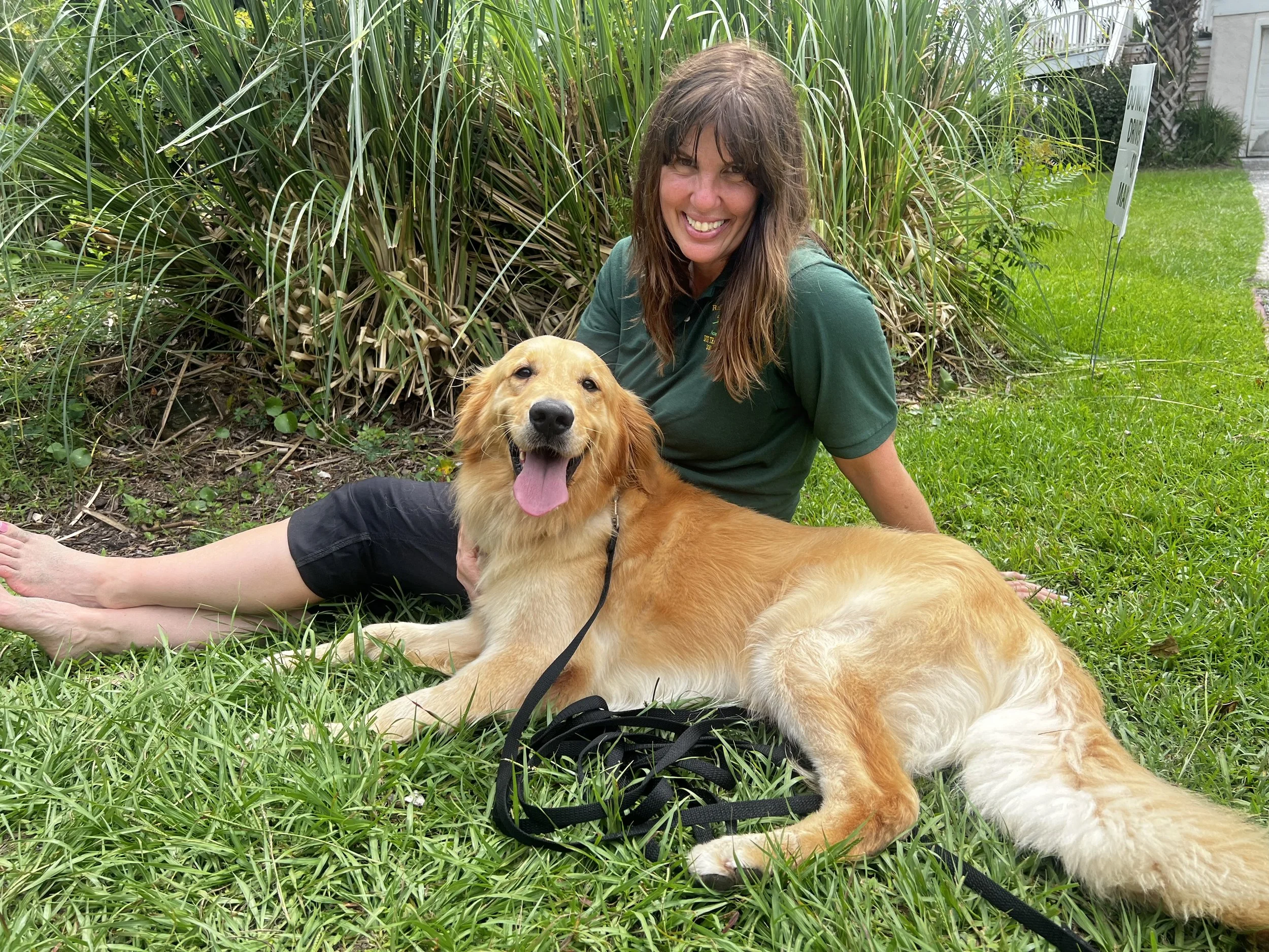 rolling meadows adult trained dog support