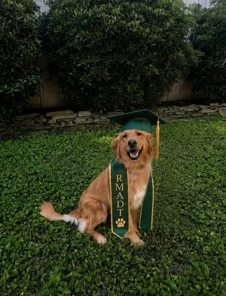 grad
