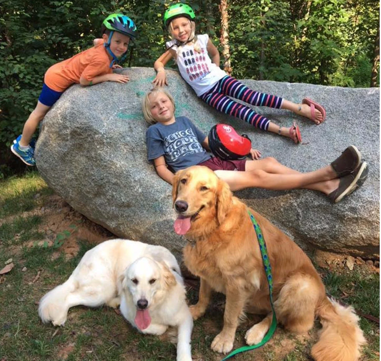 Four children wearing helmets with two trained adult dogs
