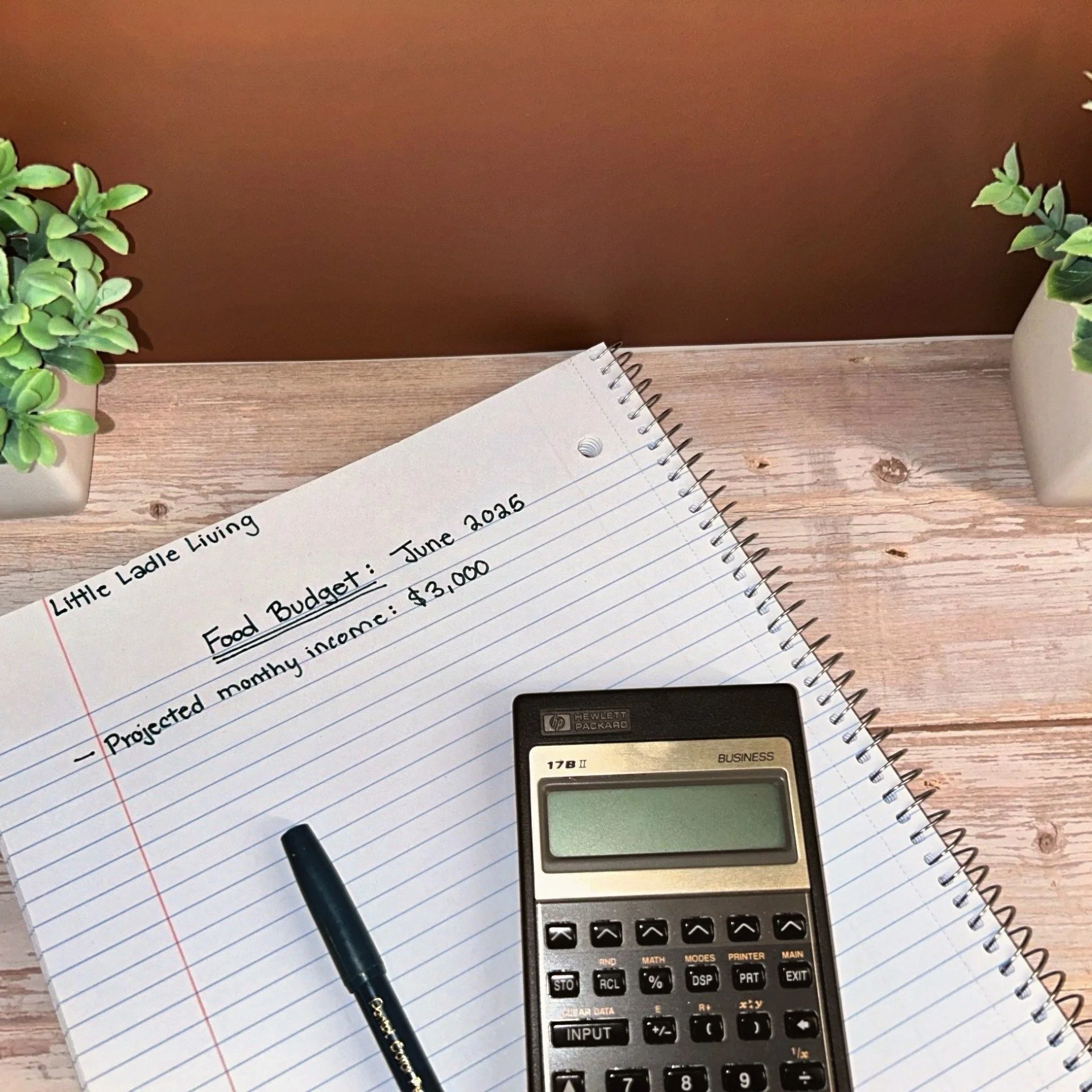 Budget &amp; Plan: Rules of Thumb