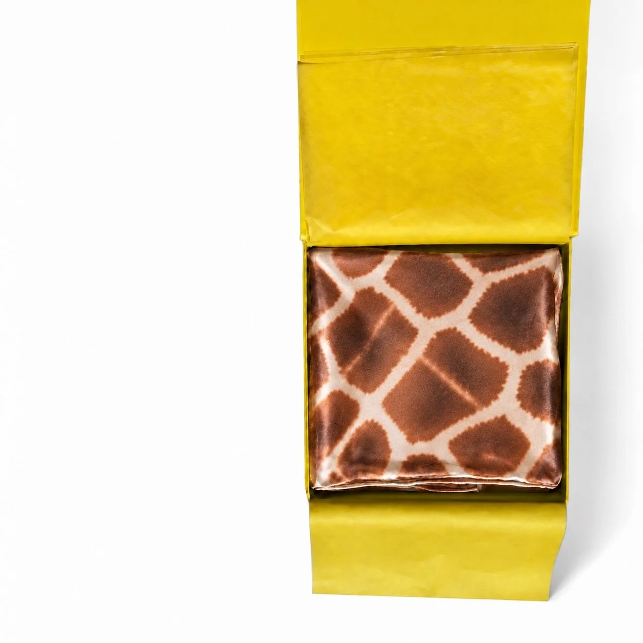 giraffe box.jpg