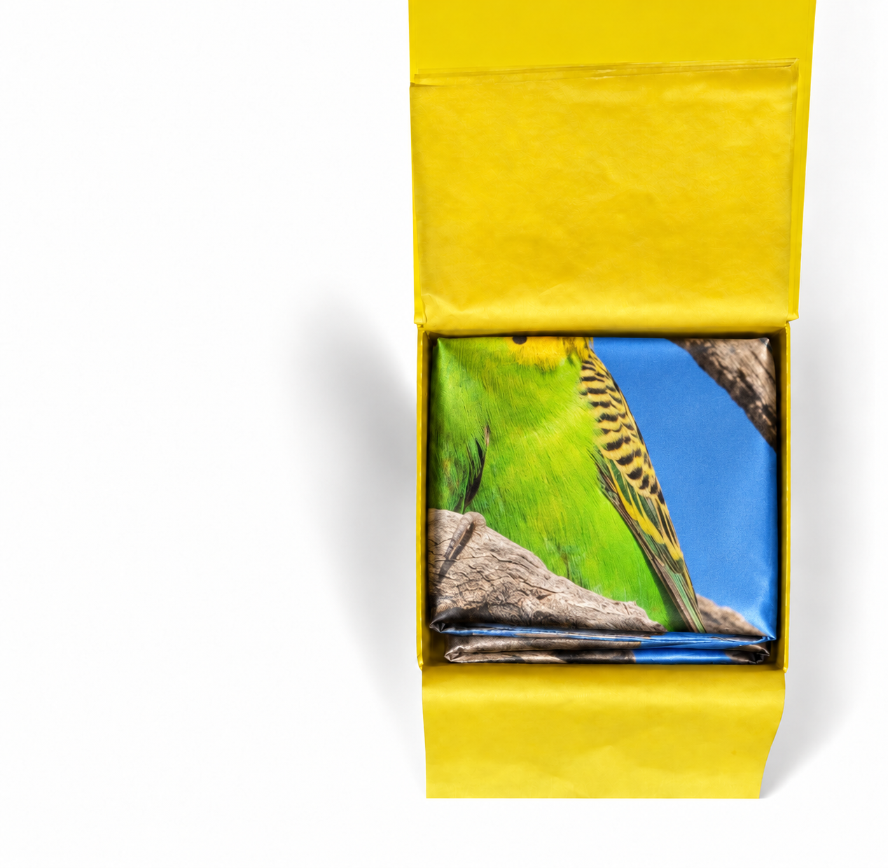 budgie box.png