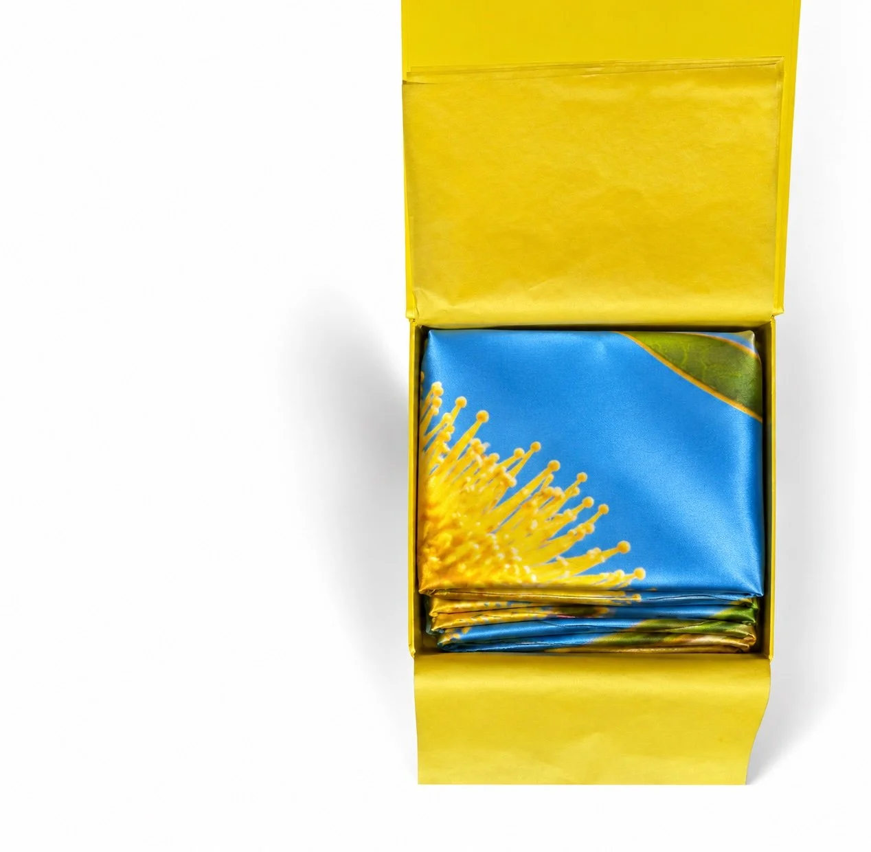 illyari in box.jpg