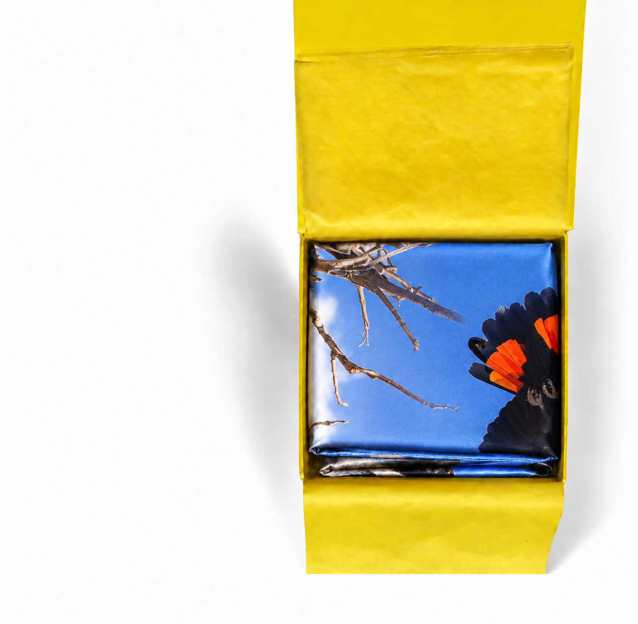 red cockatoo box.png