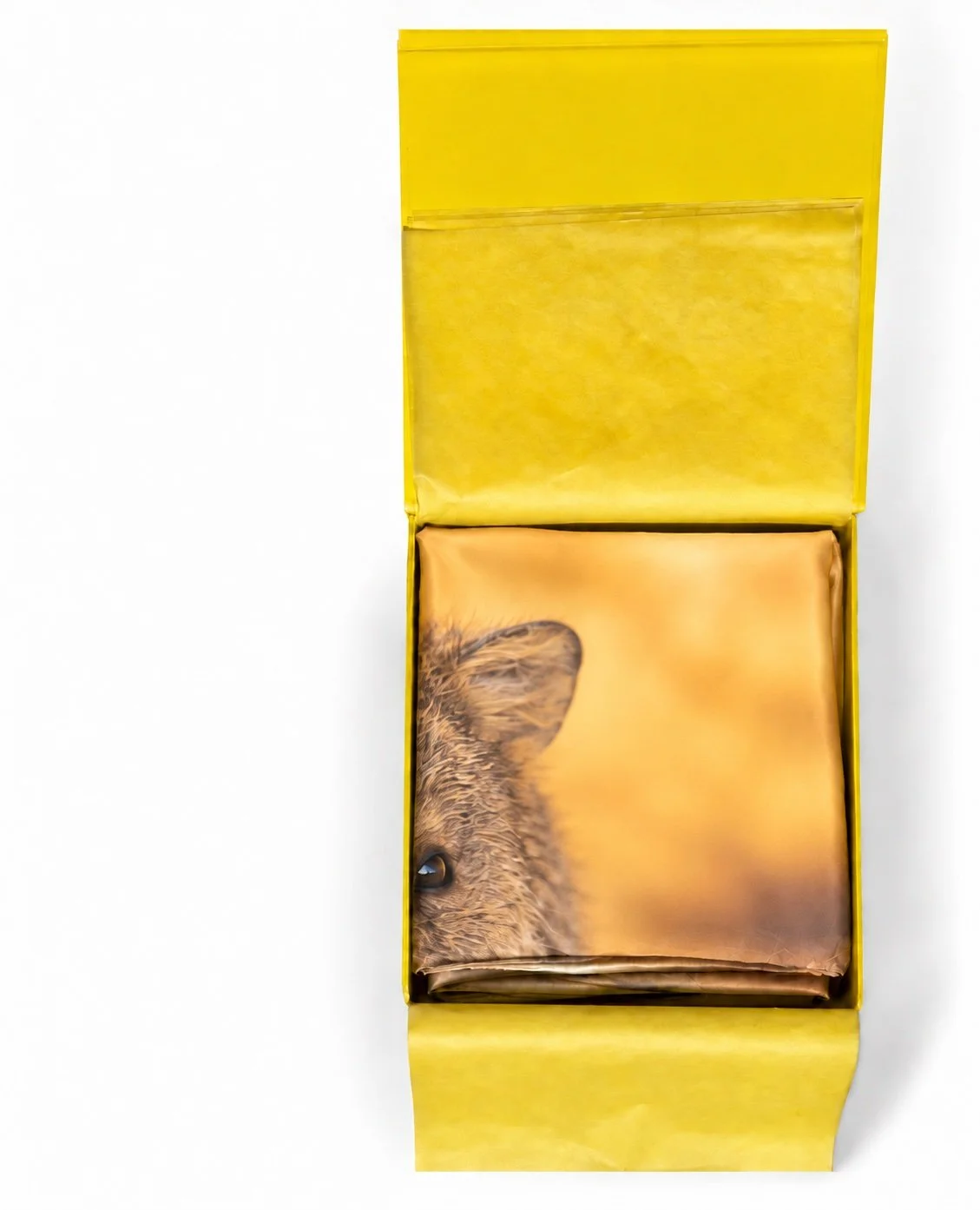 quokka in the yellow box.jpg