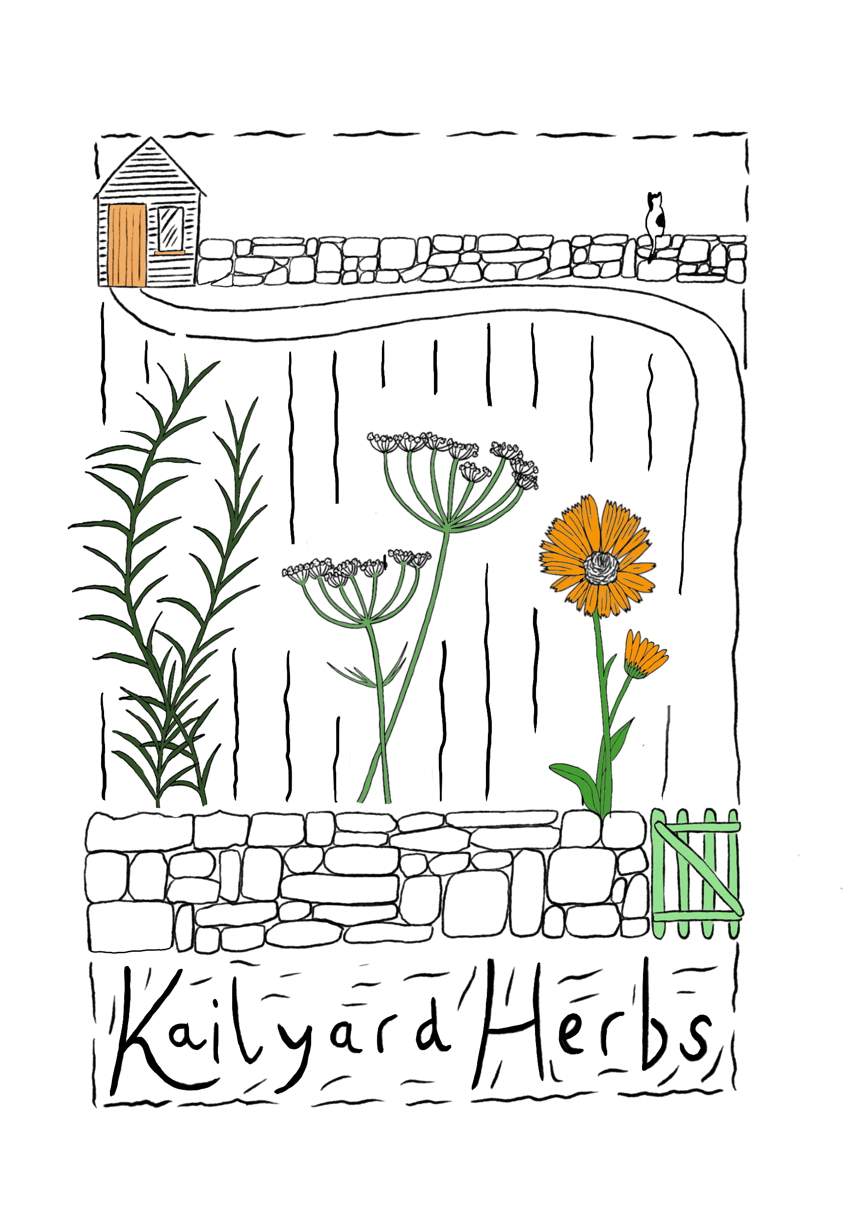 Beginnger's Guide to Herb Gardening