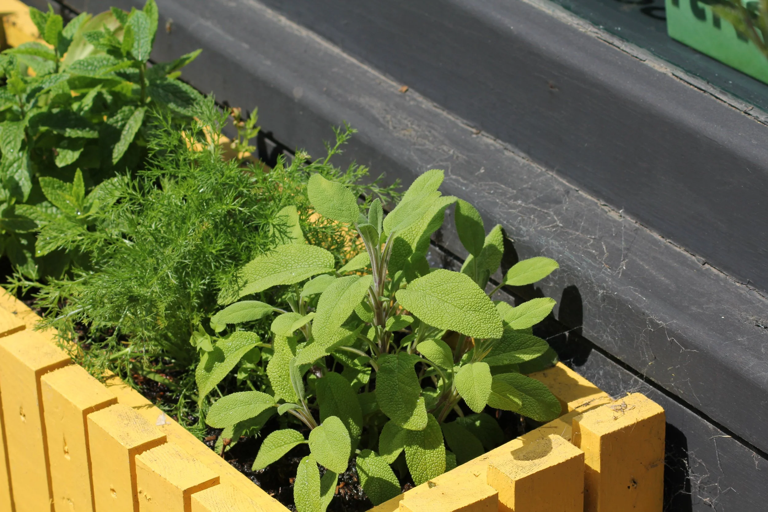 An image of the Cultural Center.