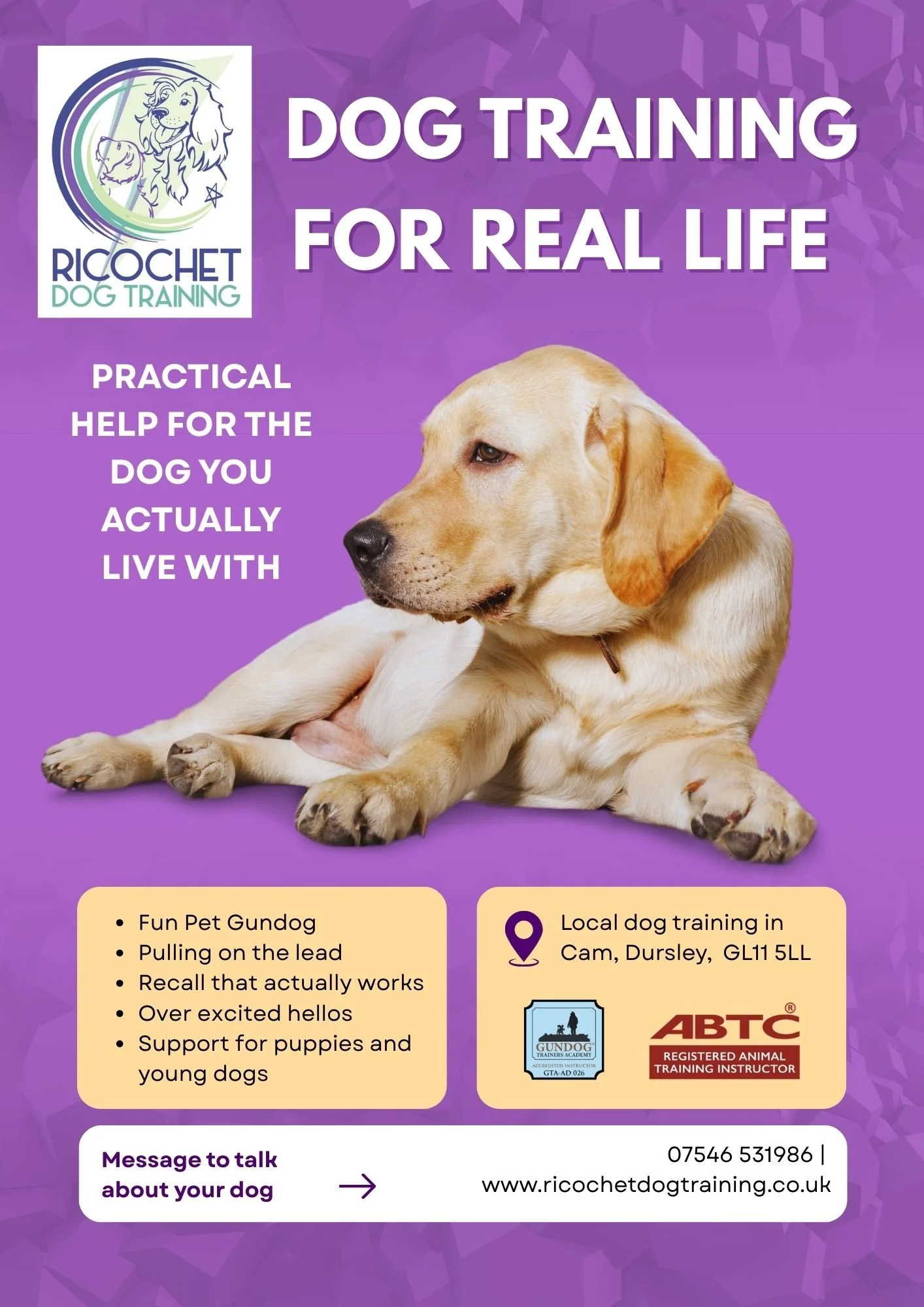 How to Choose a Dog Trainer (UK): No-Nonsense Guide