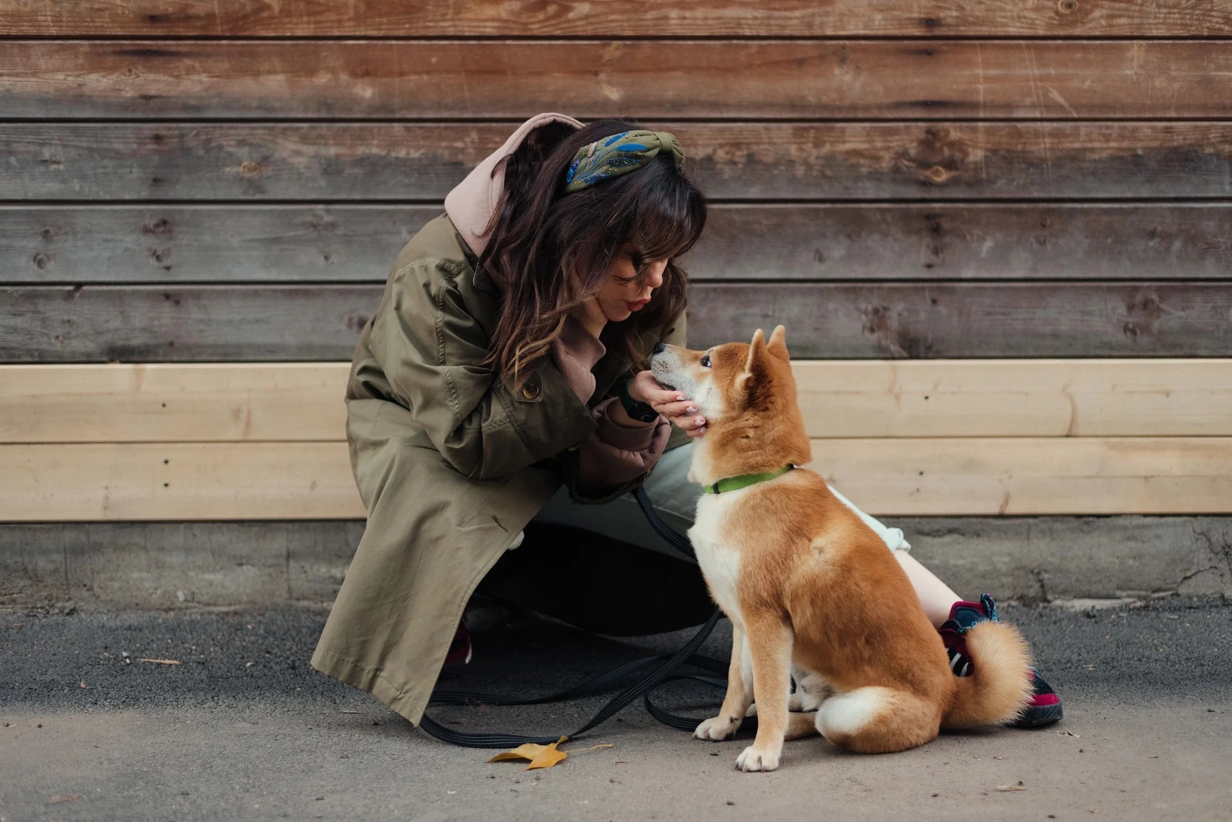 Modern Dog Training Deserves Better Than This