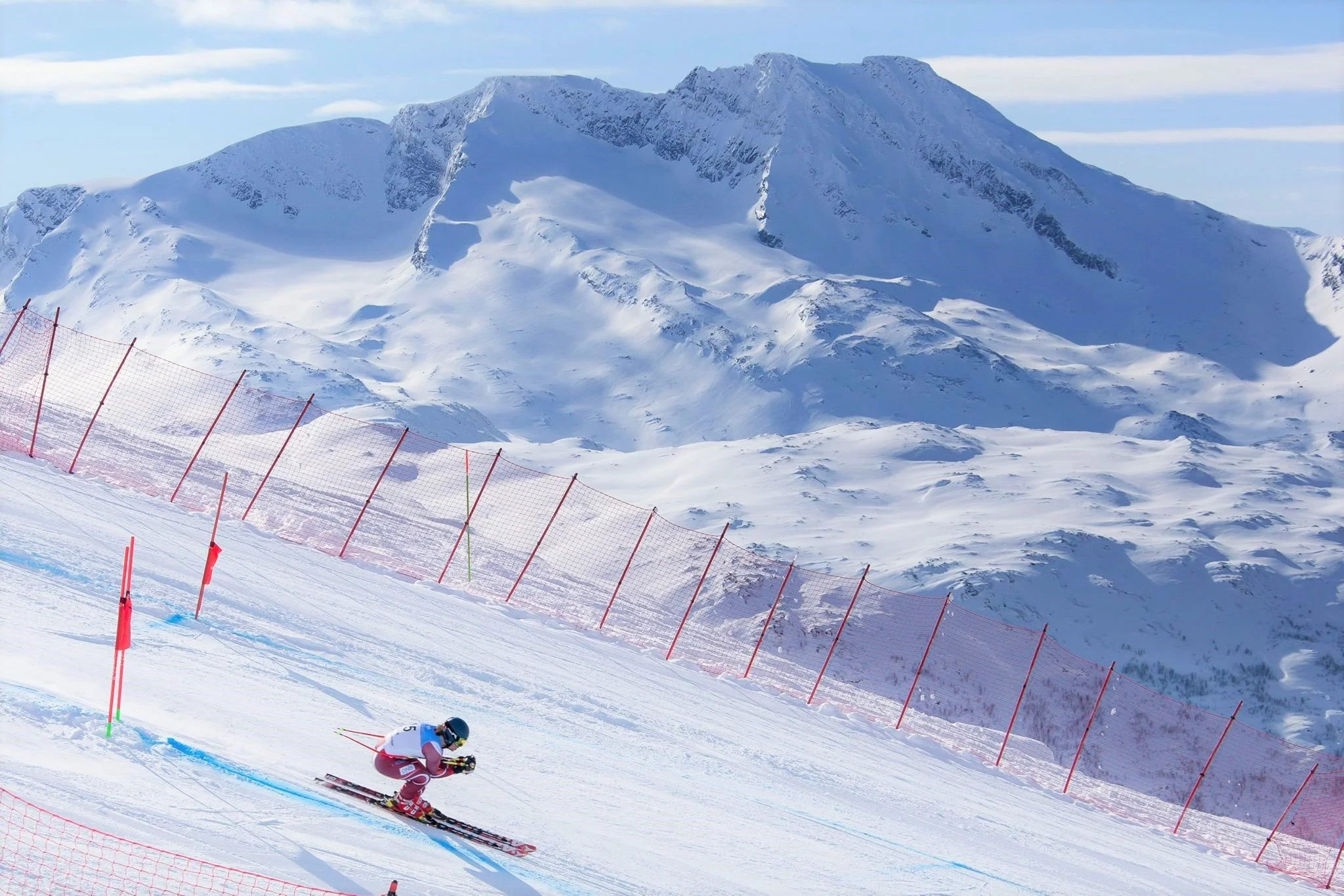 Climate experts and ski enthusiasts call on the FIS Alpine World Ski Championships to show climate leadership
