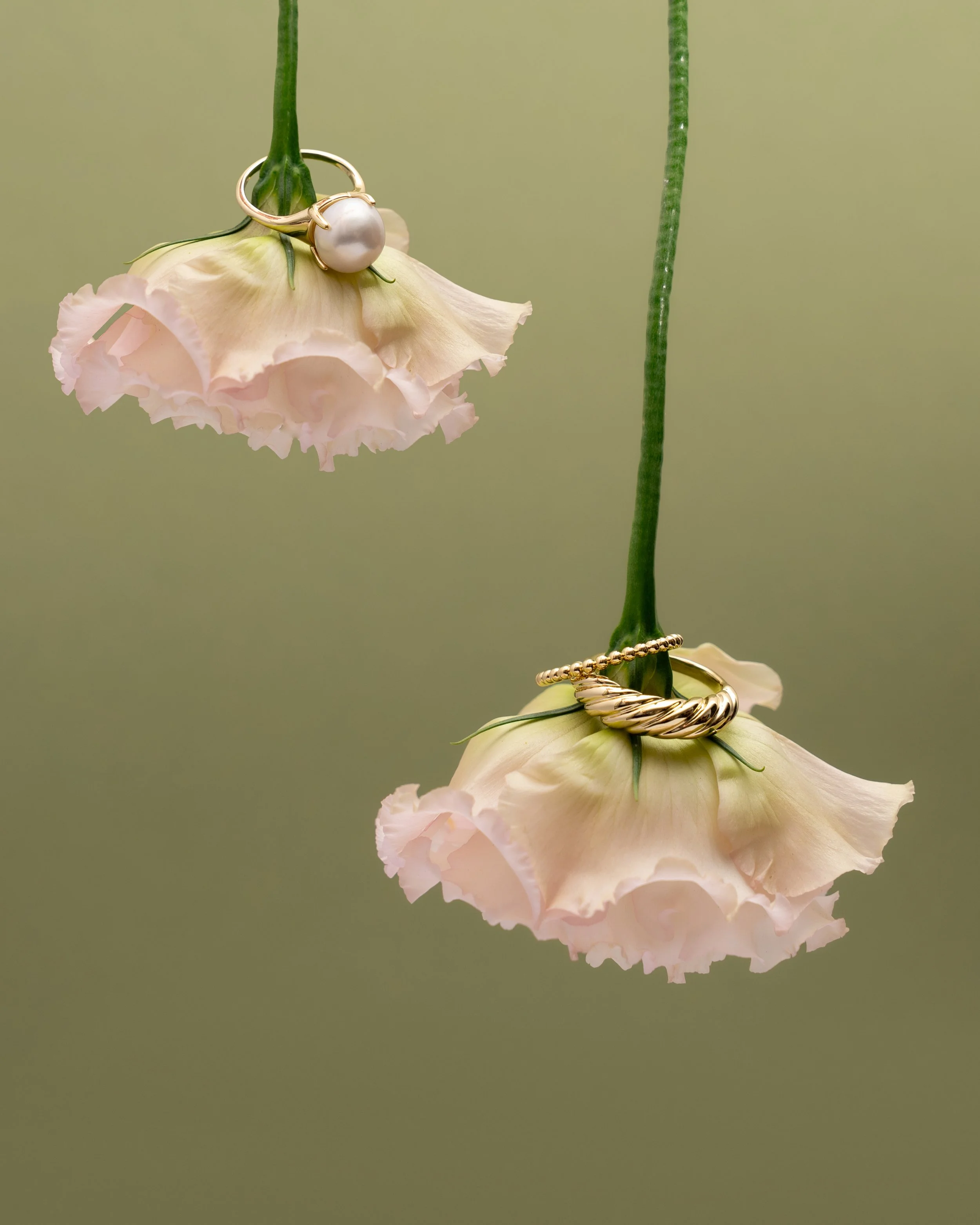 flowers9043 2-2.jpg