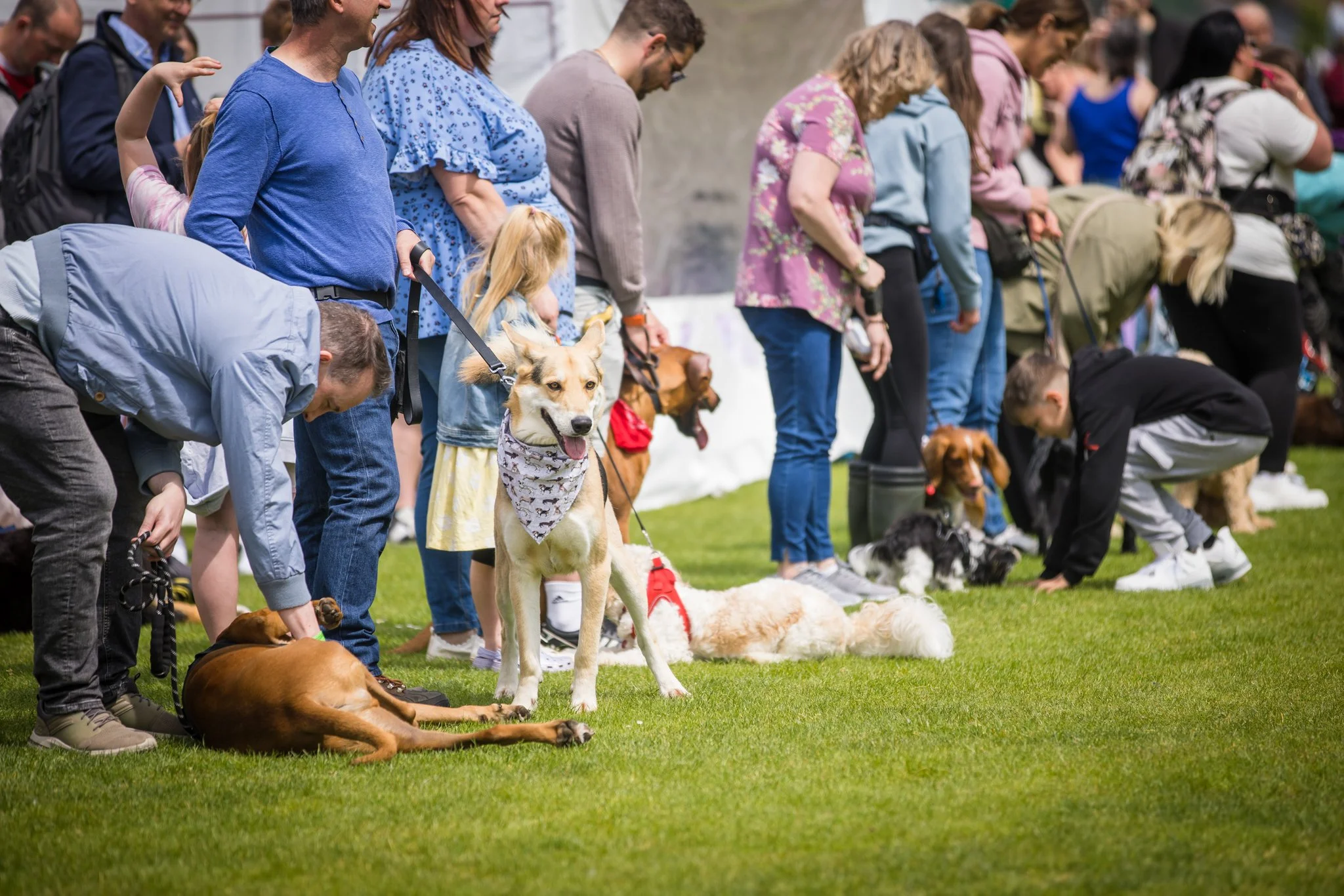 Big Doggie Do 1, Milton Keynes, May 24_-88.jpg