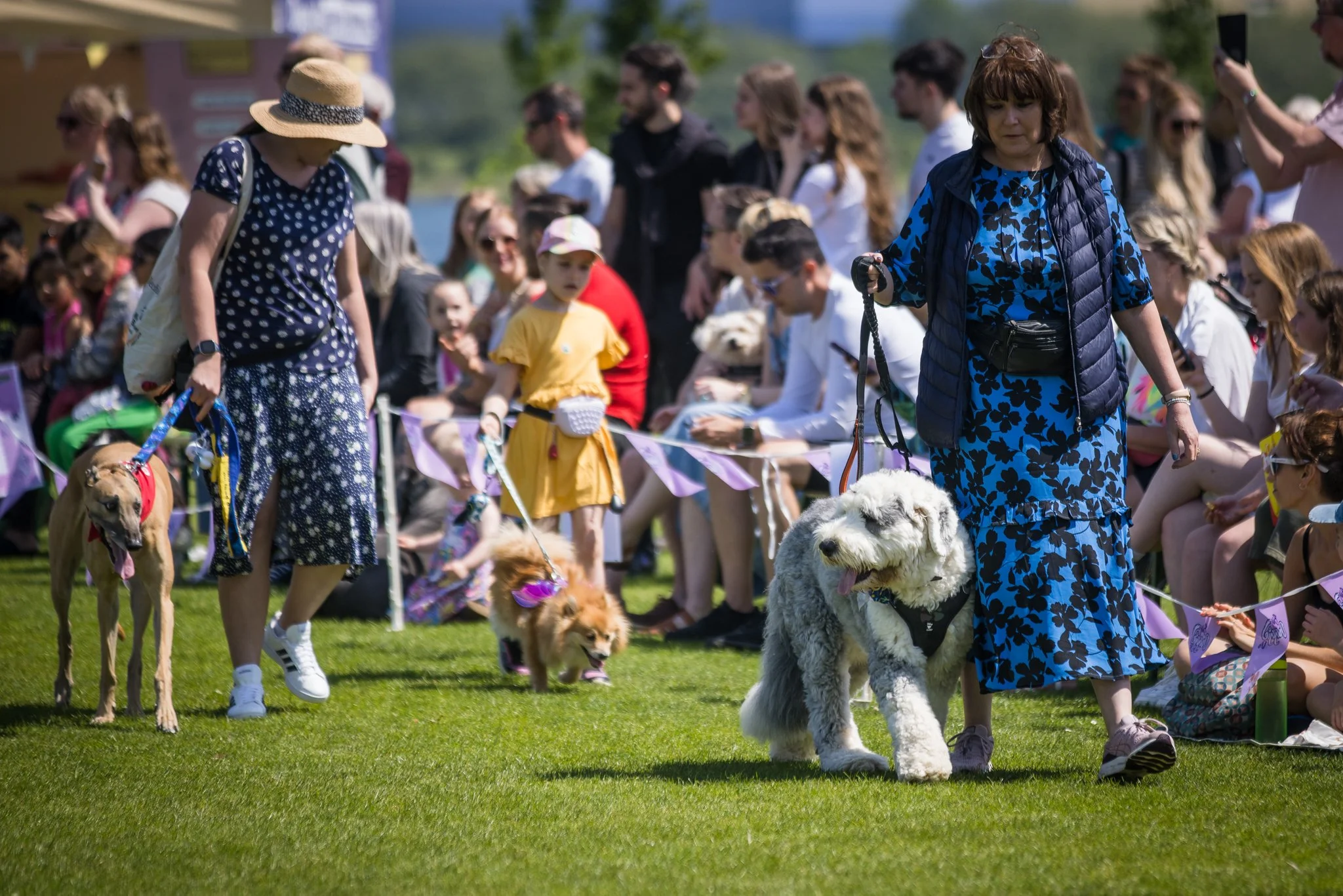 Big Doggie Do 2, Milton Keynes, May 24_-2.jpg
