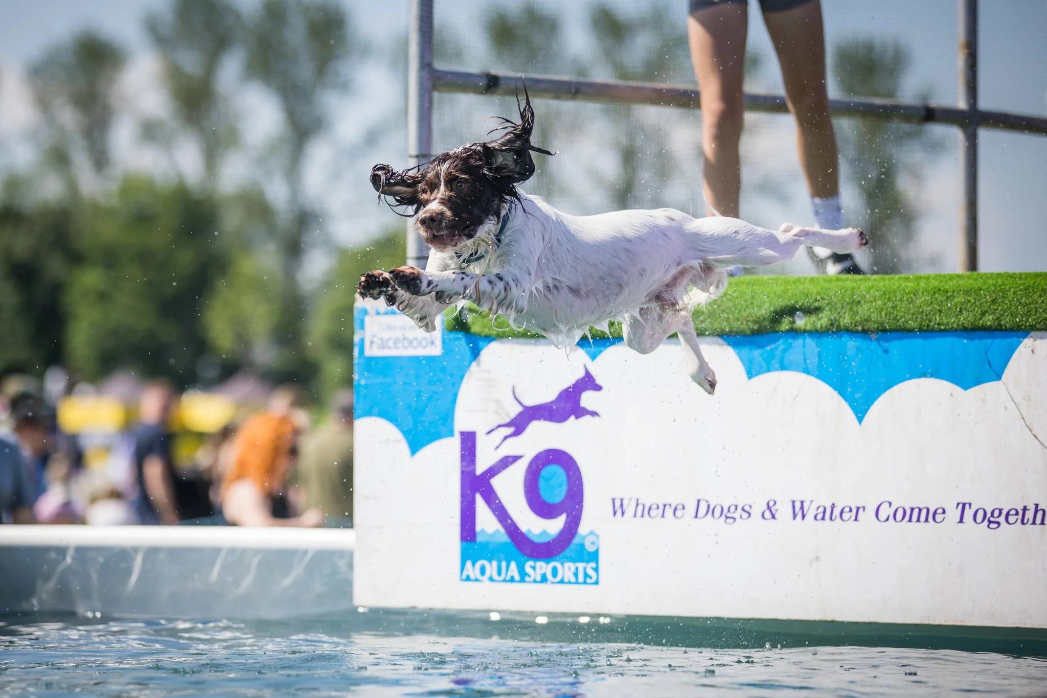 Big Doggie Do 2, Milton Keynes, May 24_-199.jpg