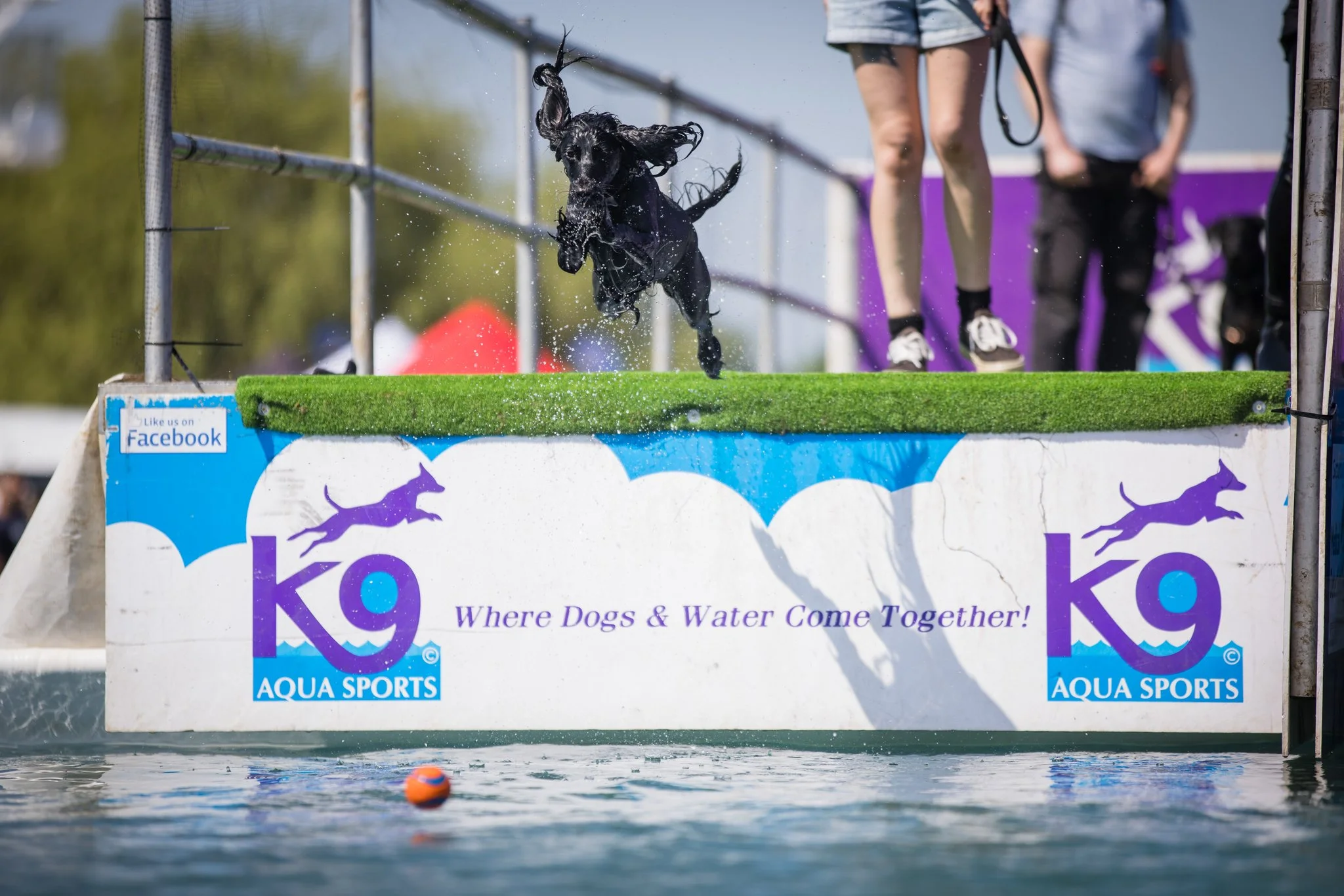 Big Doggie Do 2, Milton Keynes, May 24_-142.jpg