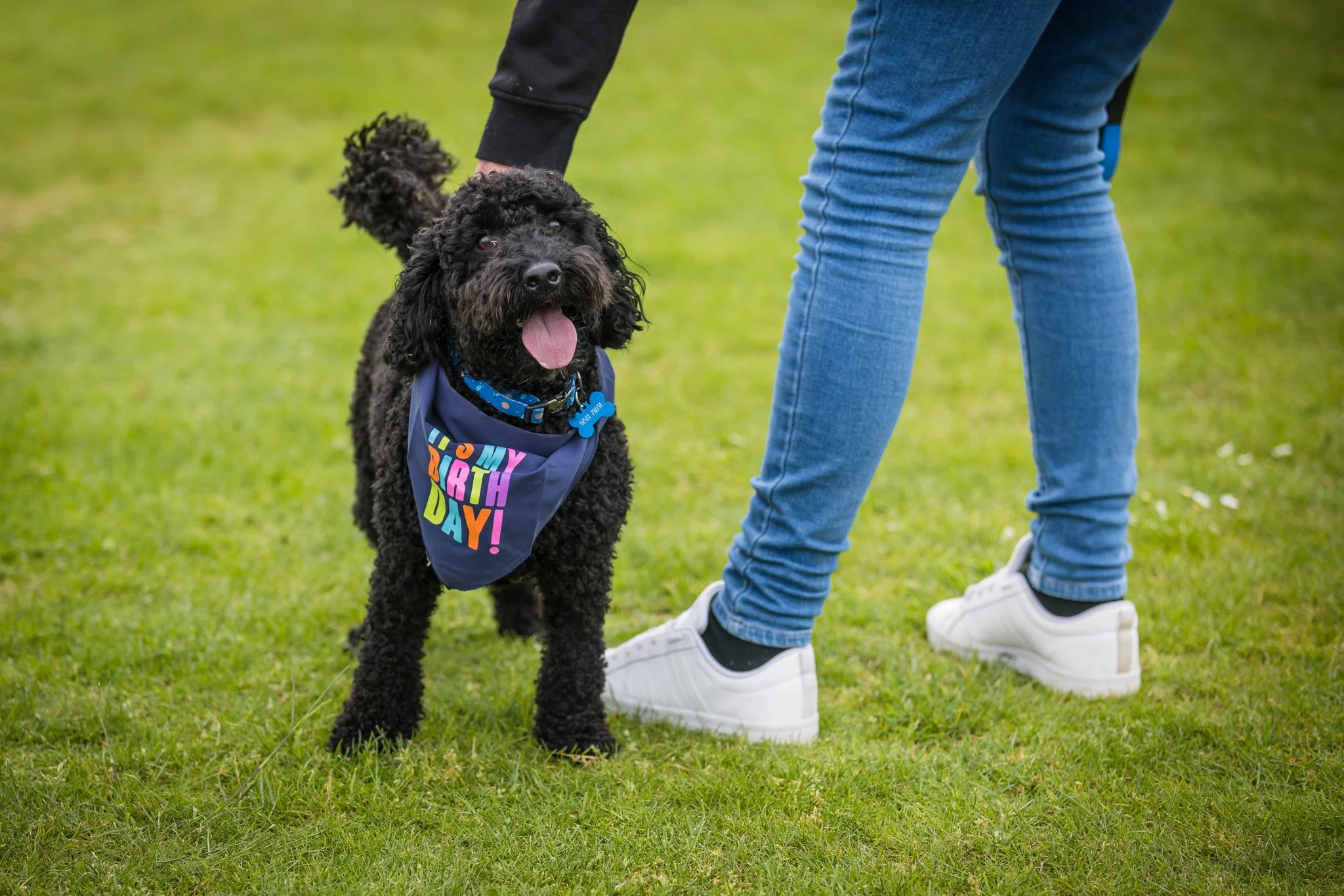 Big Doggie Do 1, Milton Keynes, May 24_-46.jpg