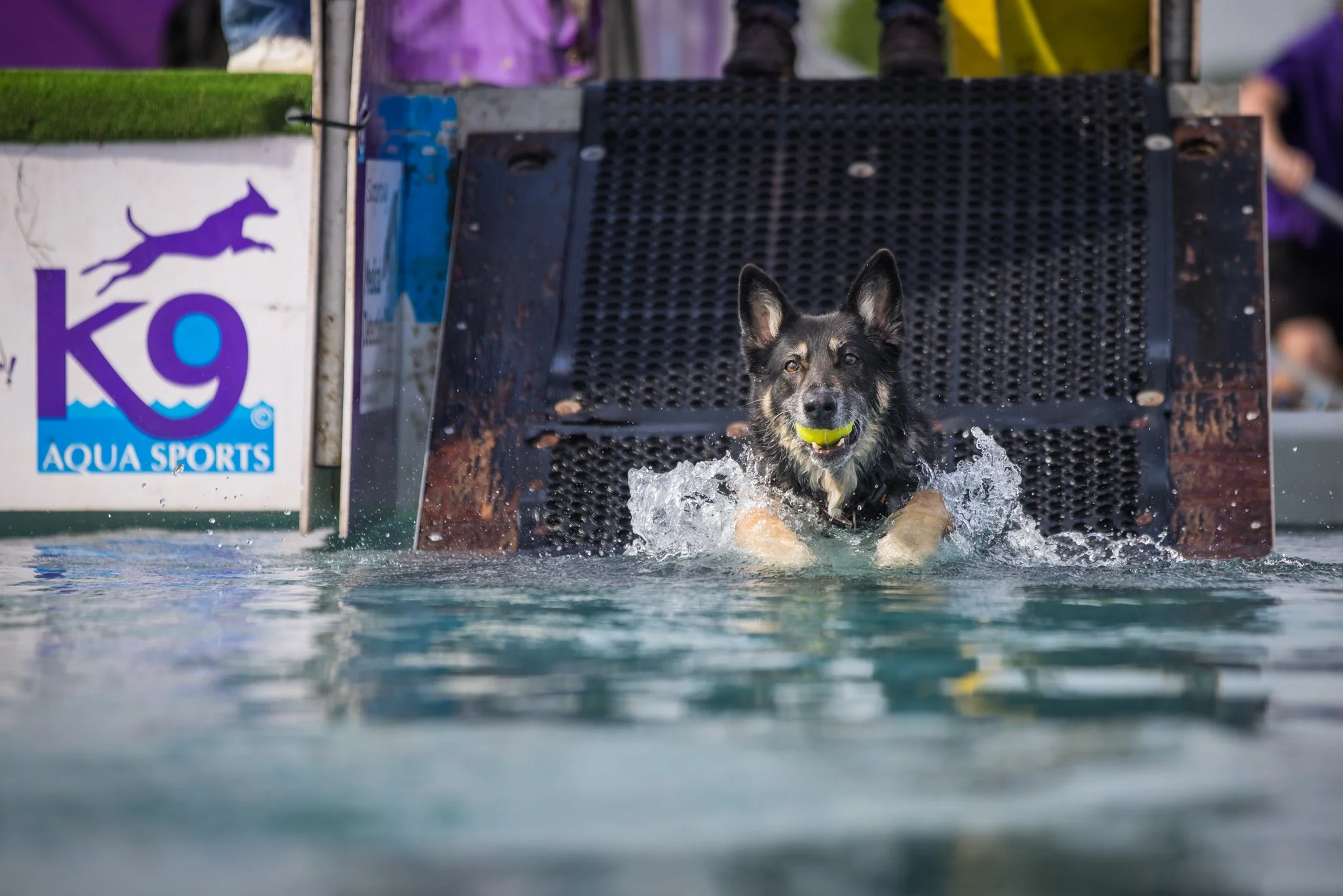 Big Doggie Do 1, Milton Keynes, May 24_-353.jpg