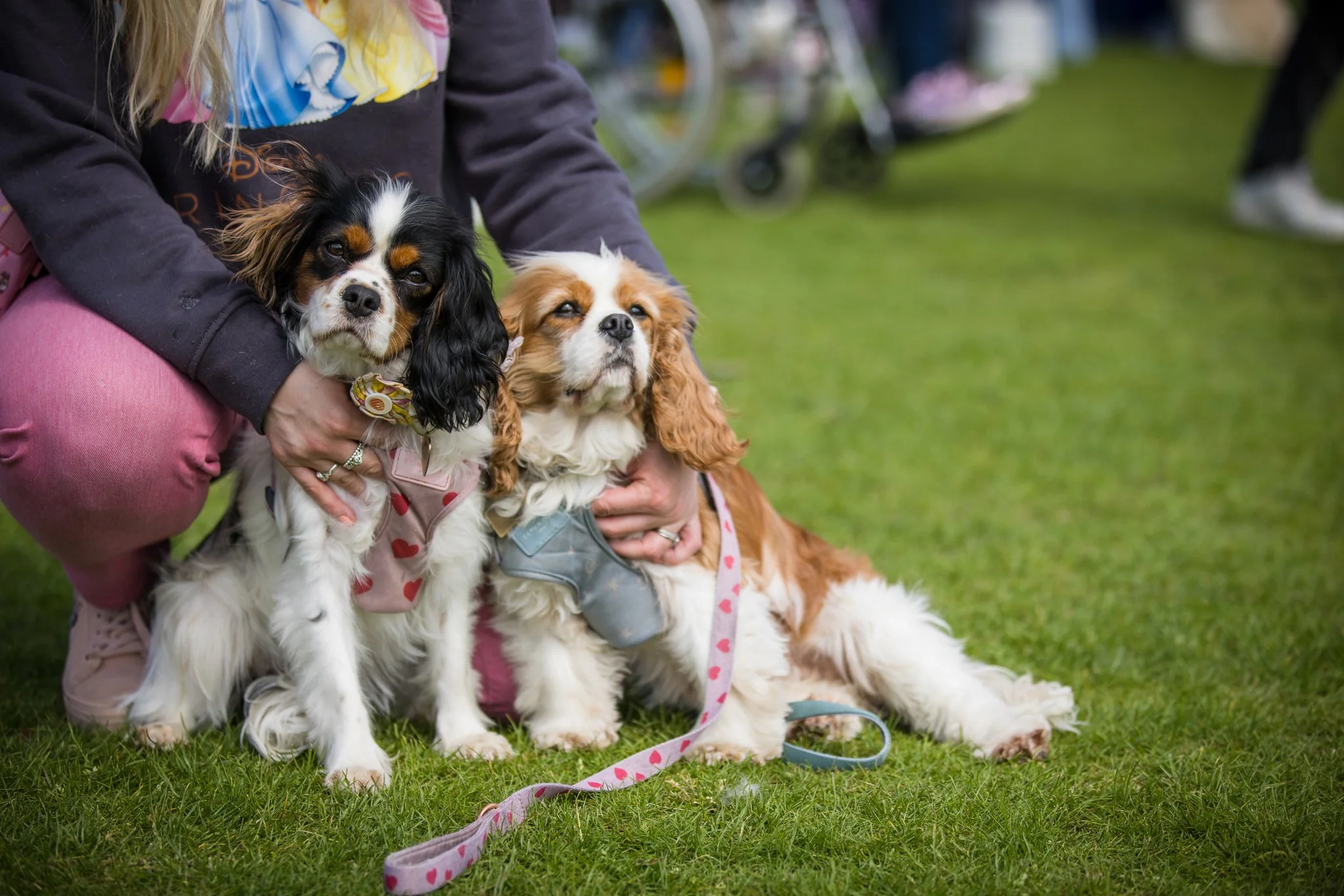 Big Doggie Do 1, Milton Keynes, May 24_-215.jpg