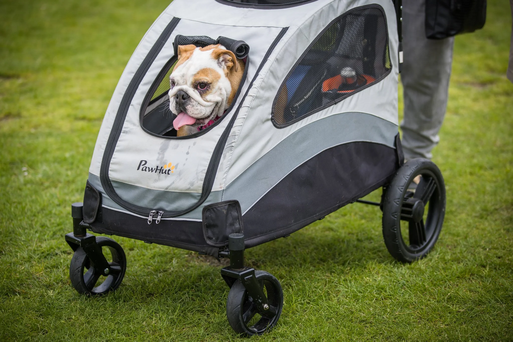 Big Doggie Do 1, Milton Keynes, May 24_-139.jpg