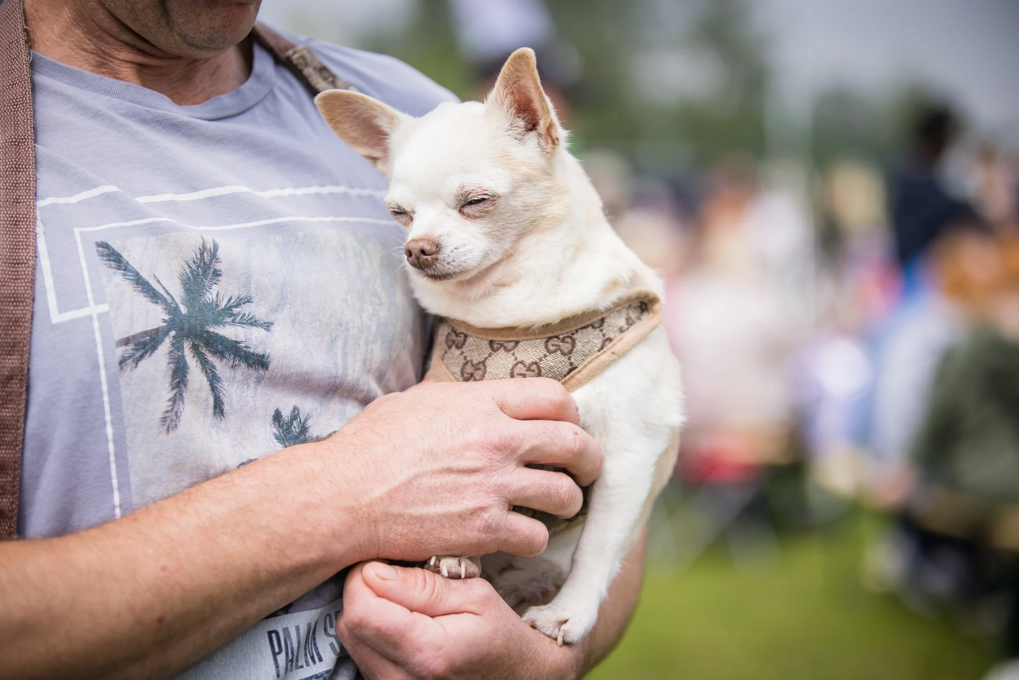 Big Doggie Do 1, Milton Keynes, May 24_-93.jpg