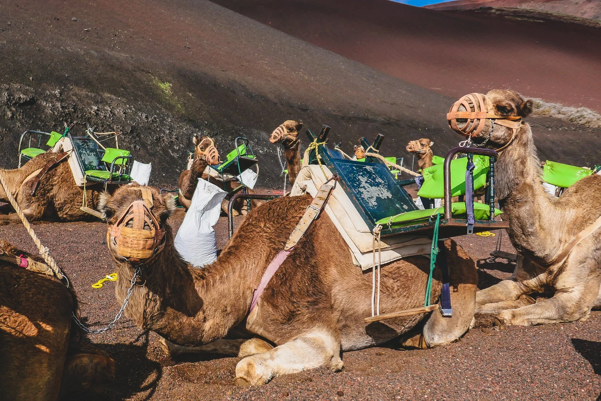 Lanzarote, Canary Island 12.jpg