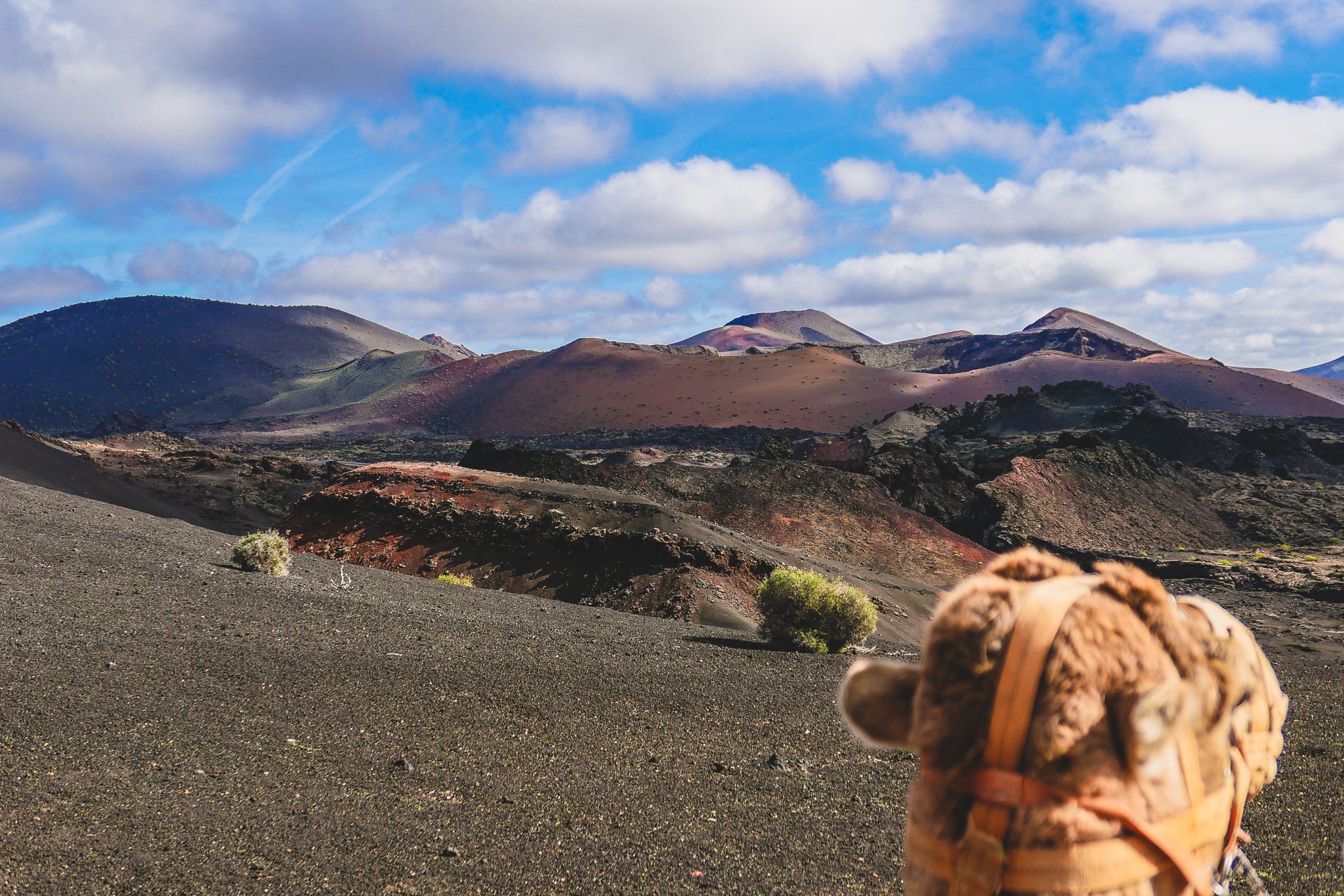 Lanzarote, Canary Island 14.jpg