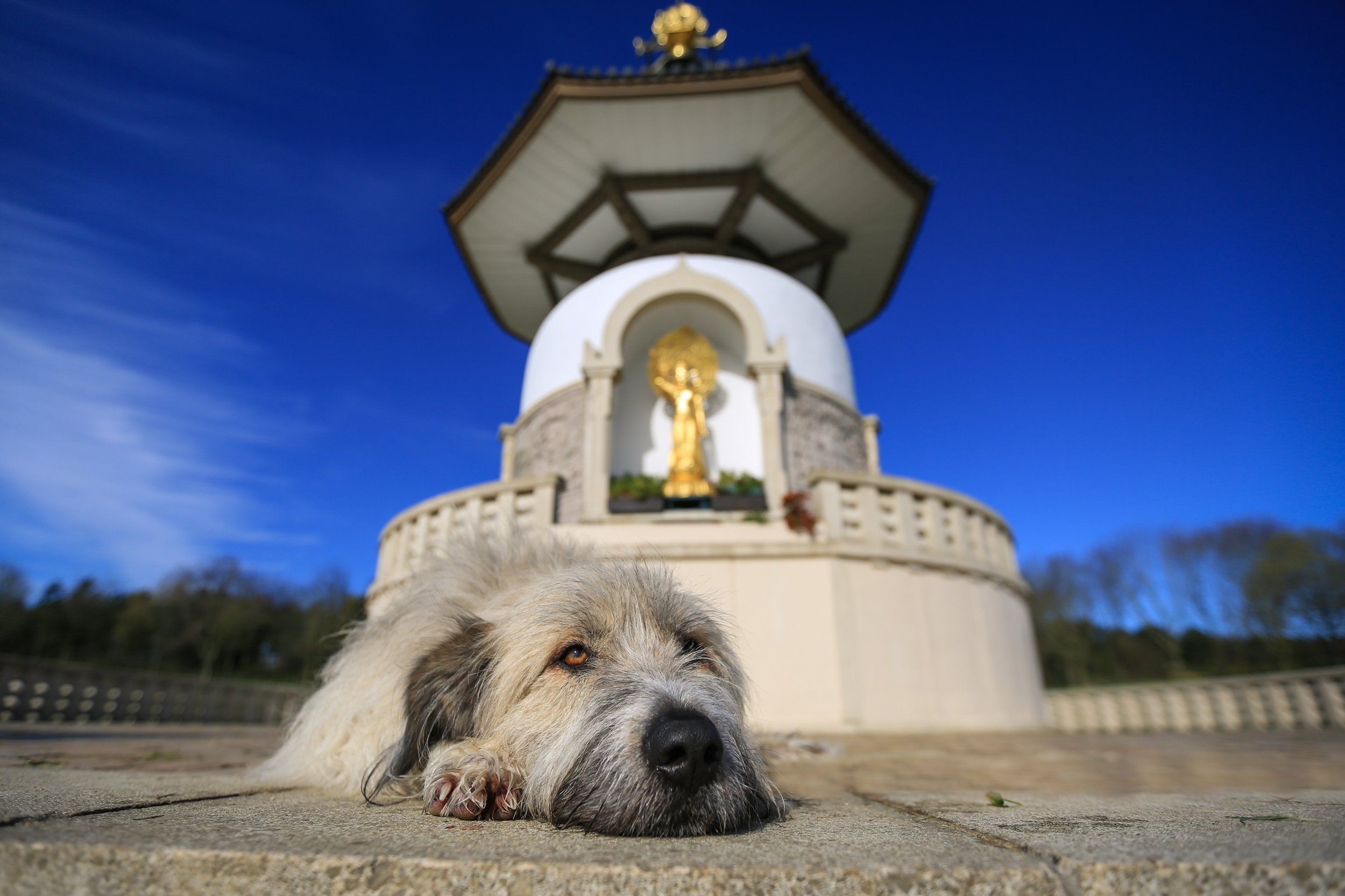 Kratu’s Parkland Session, Milton Keynes 