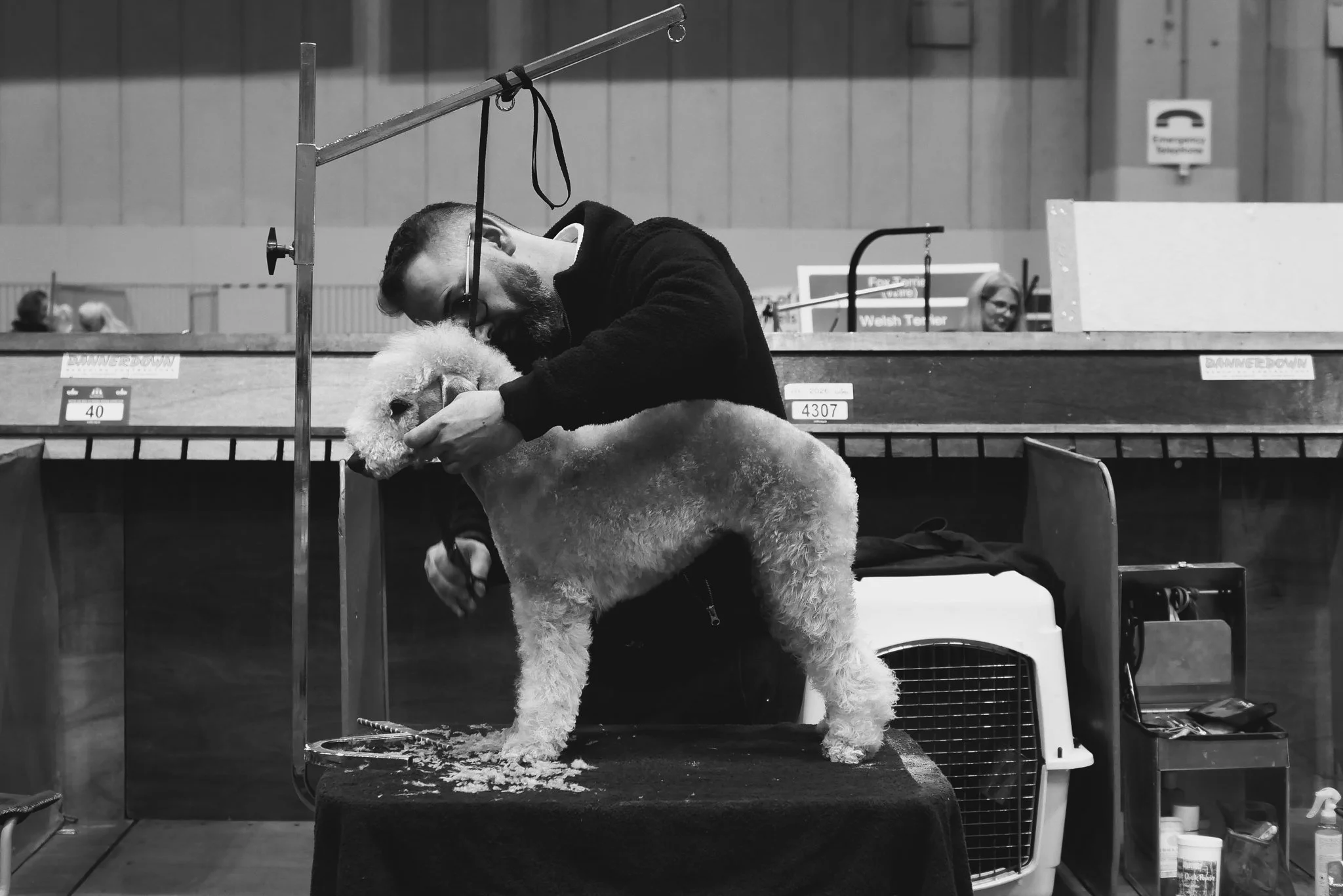 Crufts Day 2, Hound Dog, NEC Birmingham, Kennel Club -3.jpg