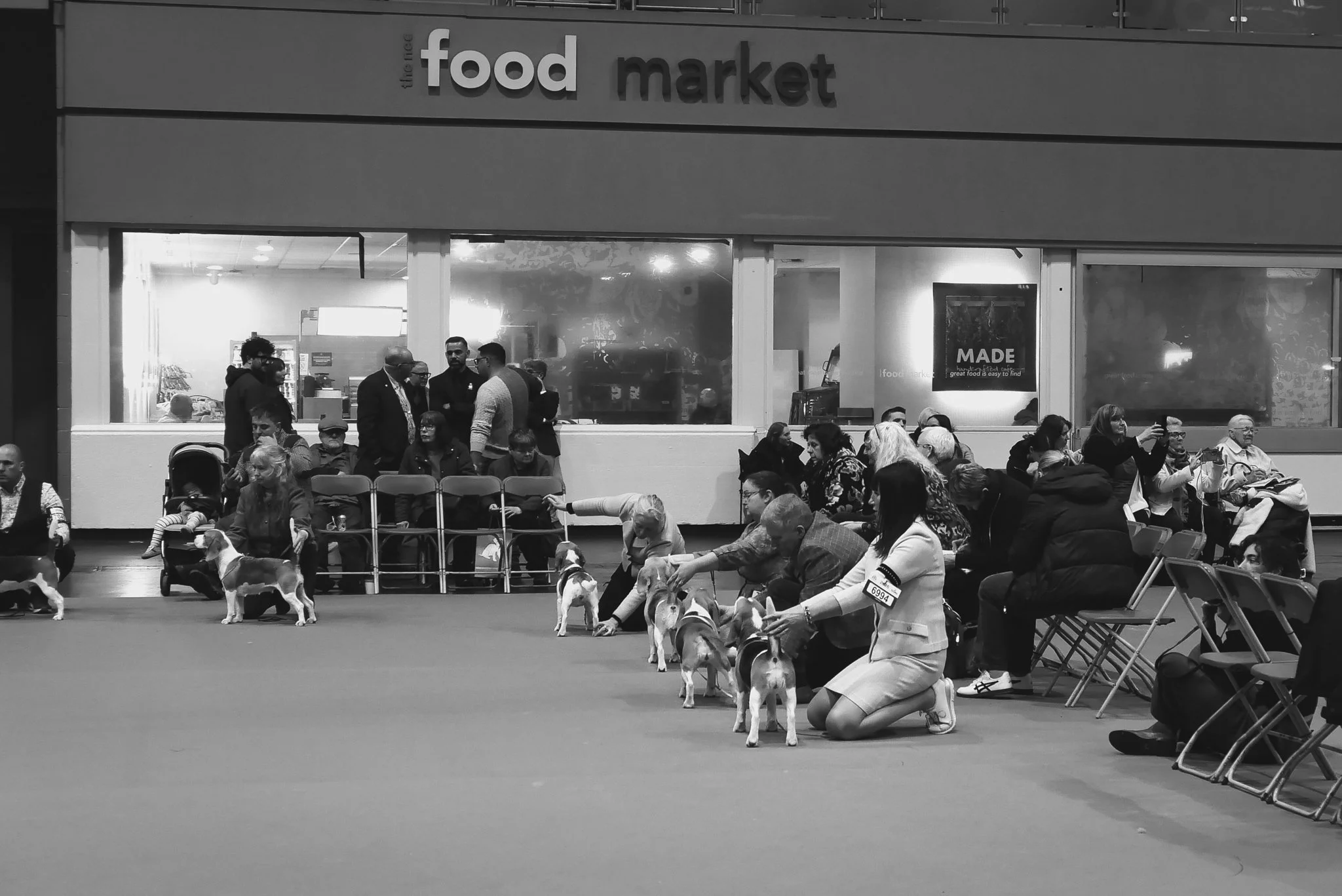 Crufts Day 2, Hound Dog, NEC Birmingham, Kennel Club -16.jpg