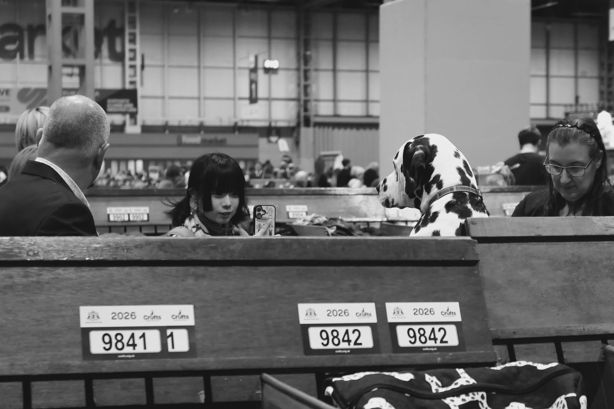 Crufts Day 2, Hound Dog, NEC Birmingham, Kennel Club -80.jpg