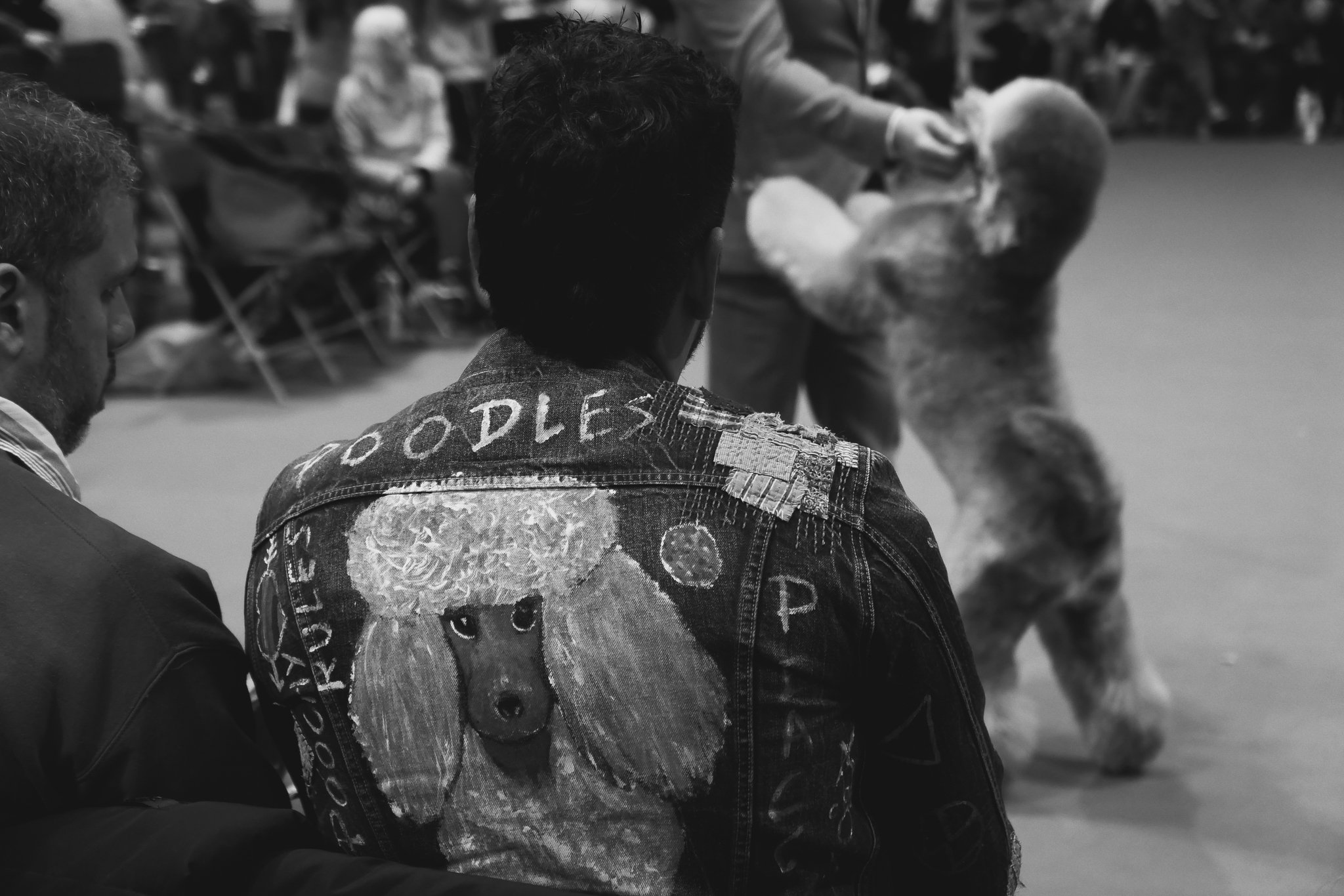 Crufts Day 2, Toy Dog, NEC Birmingham, Kennel Club -37.jpg